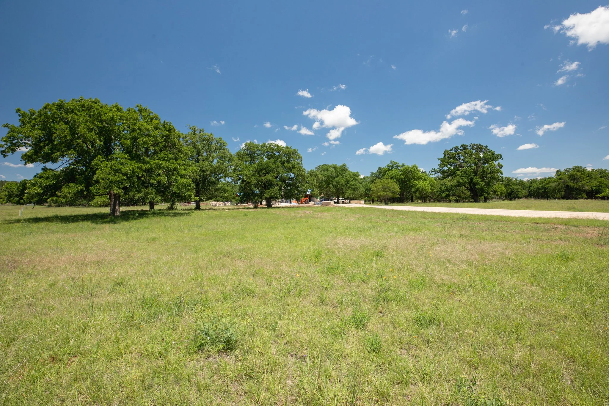 Open grassy field with trees and a clear blue sky with some white clouds.