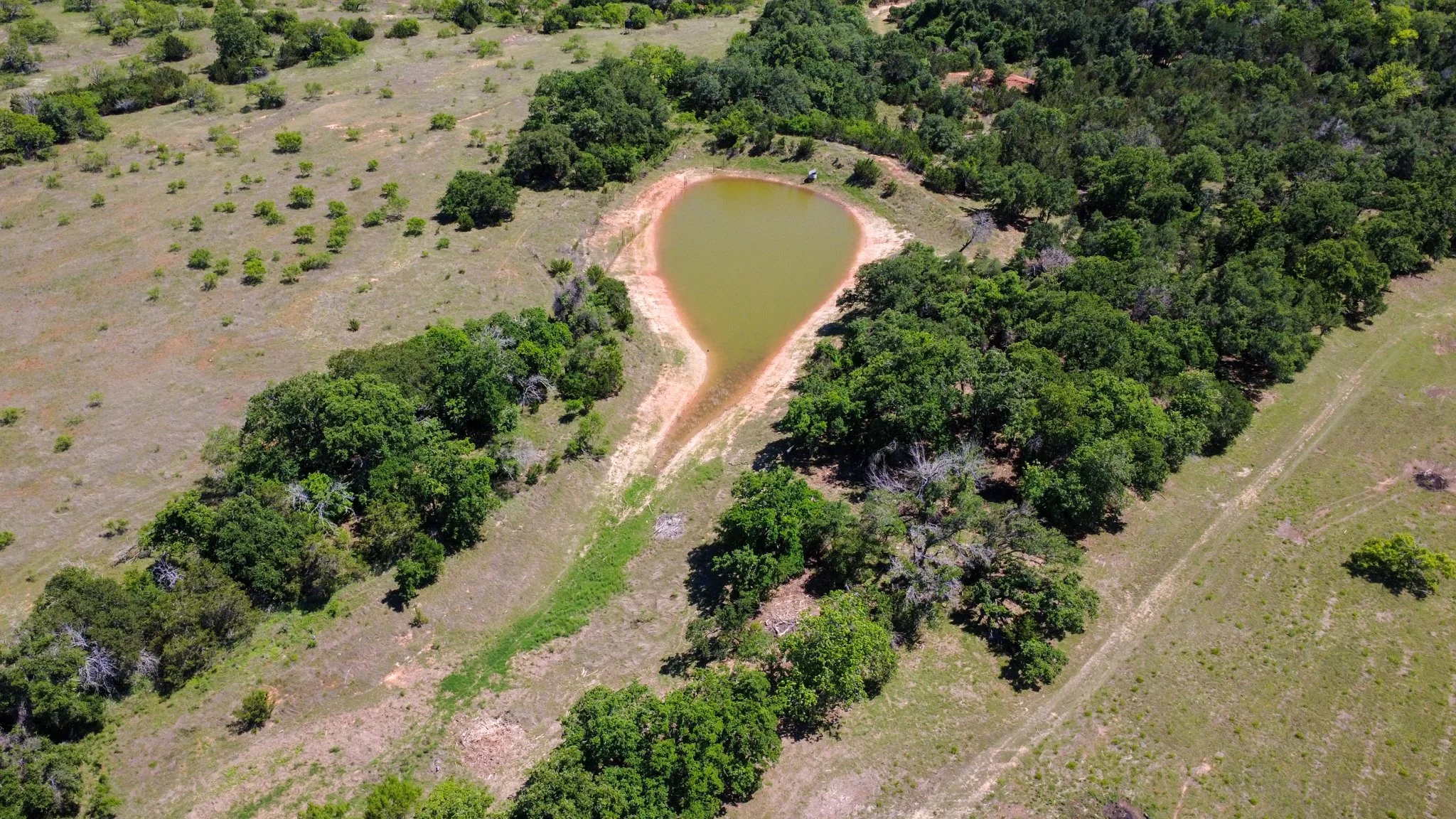 Aerial view of a small pond surrounded by trees and open grassy areas.