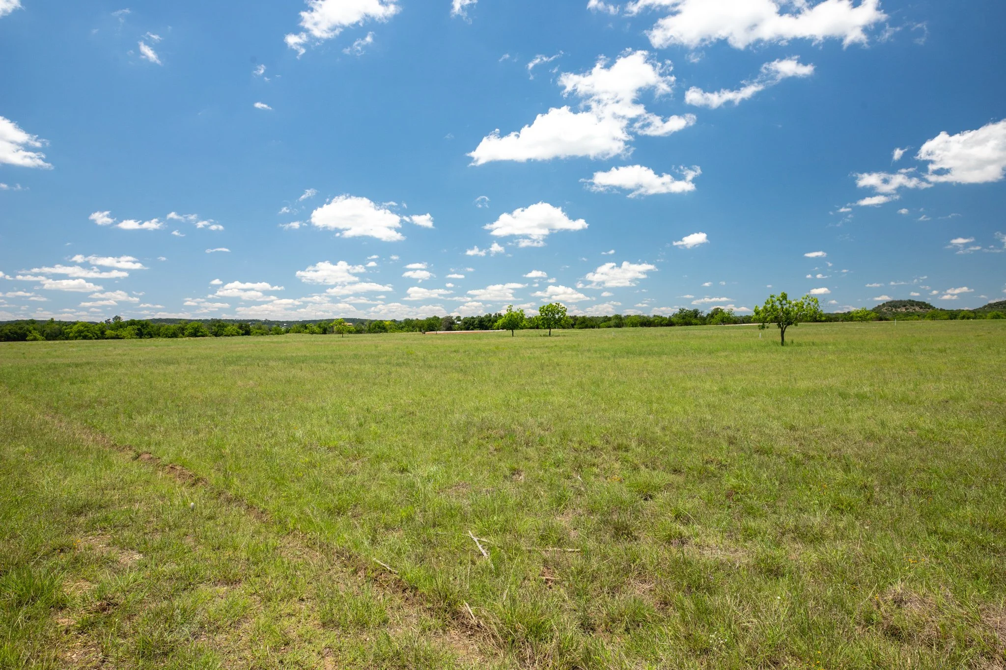 A wide open green field with a few small trees, under a blue sky with scattered white clouds.