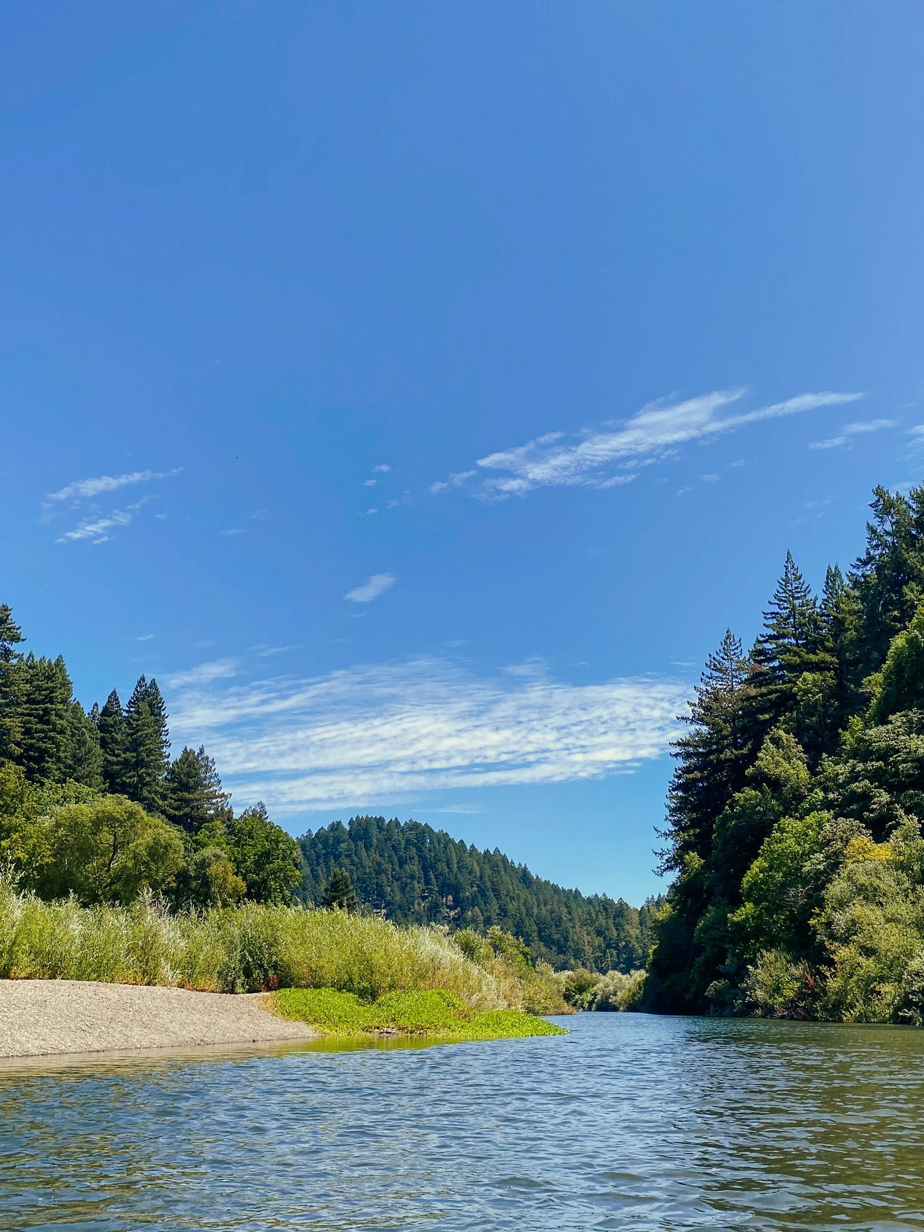Summer Enforcement in Nevada County: What Actually Happens Between May and Labor Day