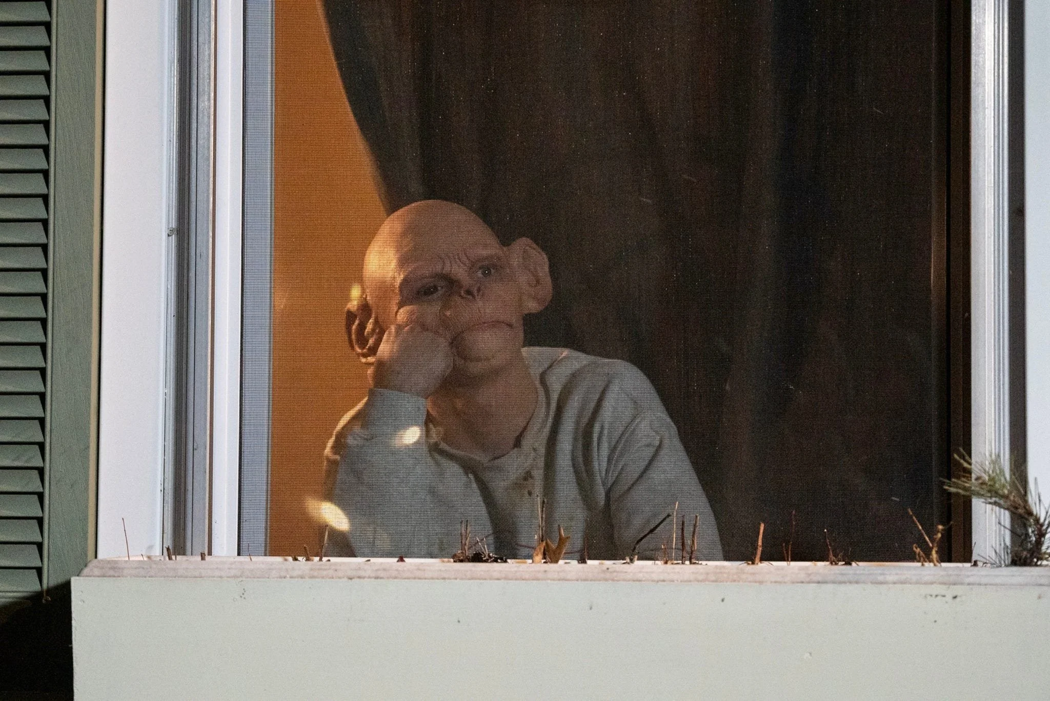 A man with glasses and a white shirt looking out a window with a small figure in the distance, at night.