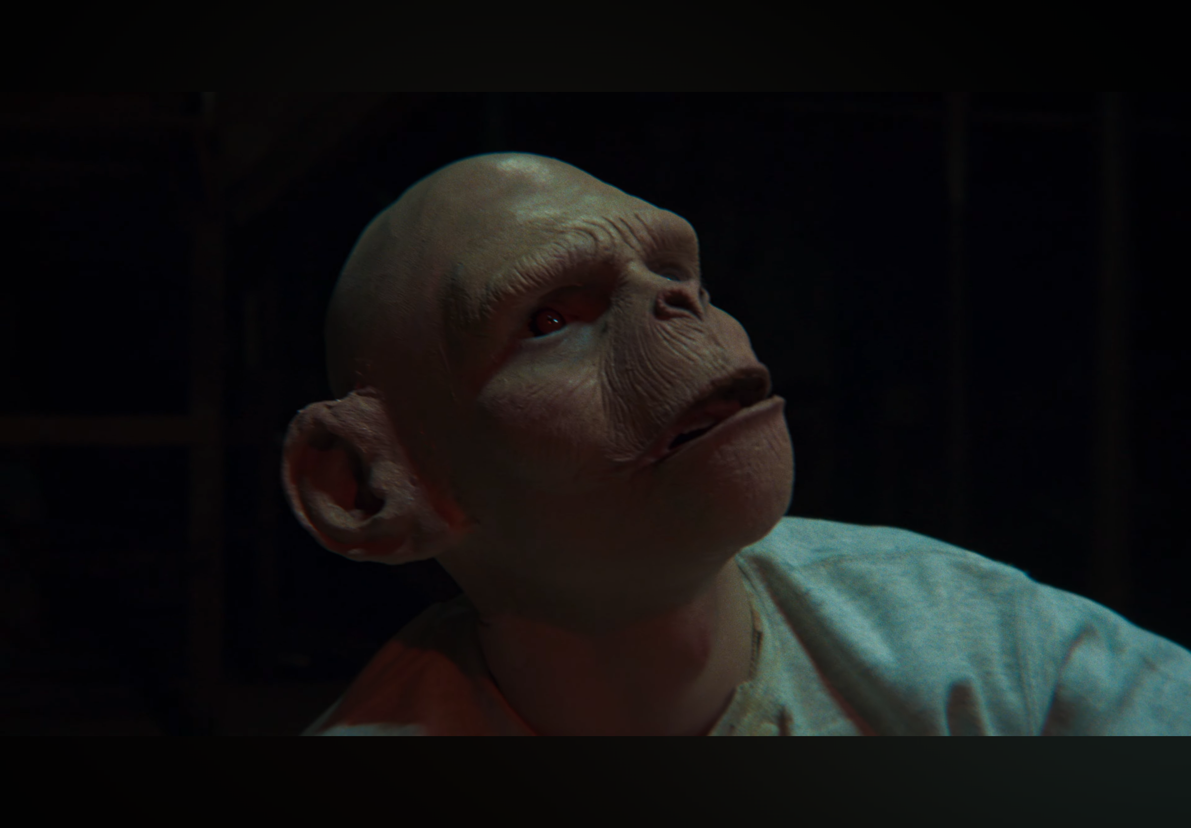 Close-up of a puppet or mask with a human-like face, showing a bald head, eyebrows, and facial features, on a dark background.