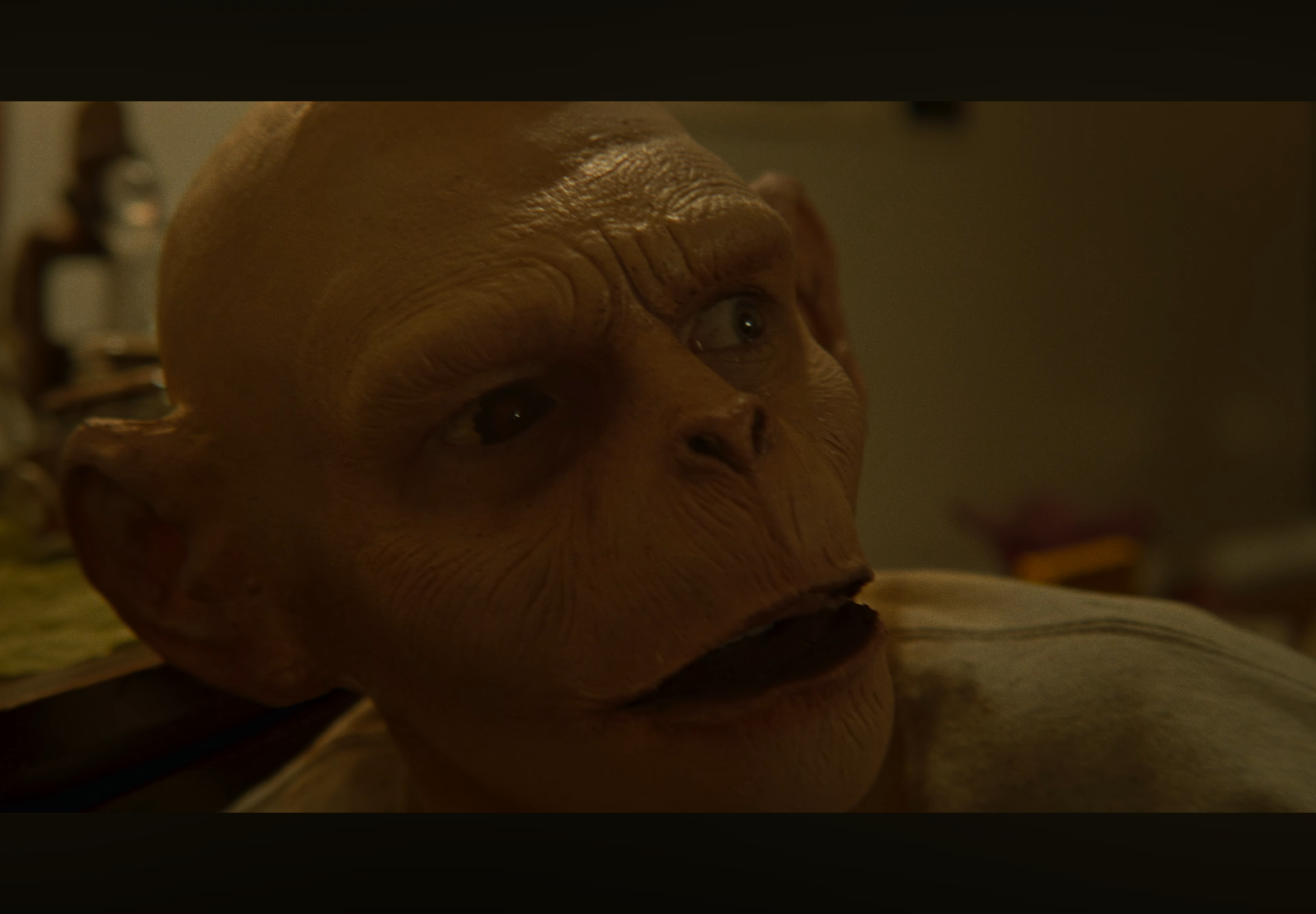 Close-up of a puppet or sculpture with exaggerated facial features, including textured skin, large eyes, and prominent facial lines.