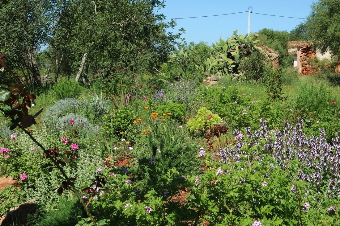 north-garden-2.jpeg
