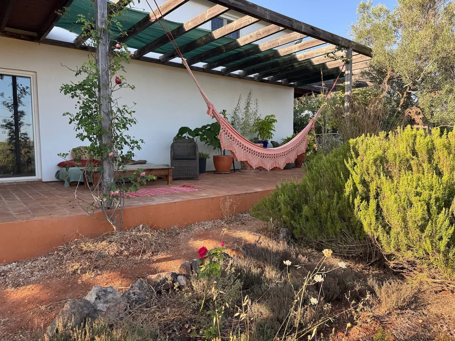 terrace-hammock.jpg
