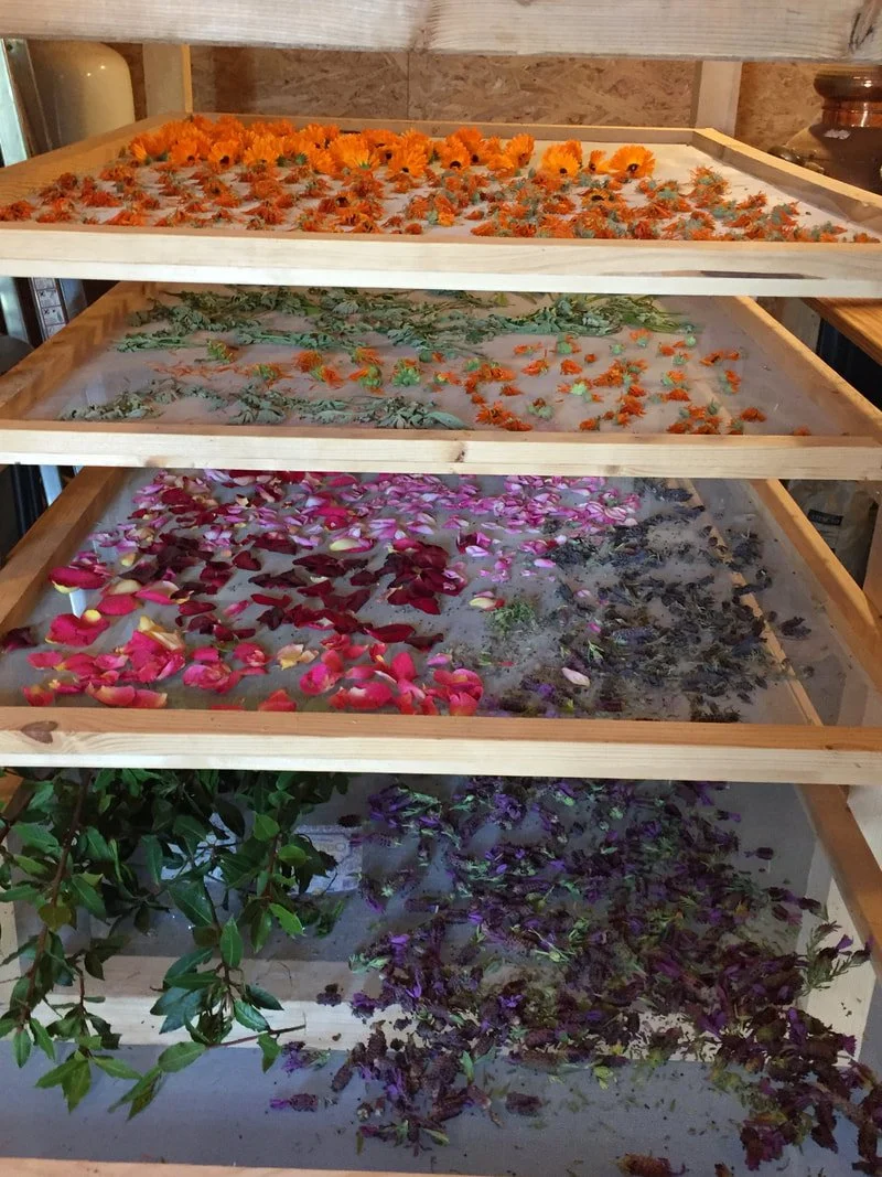 drying-racks-flowers.jpg