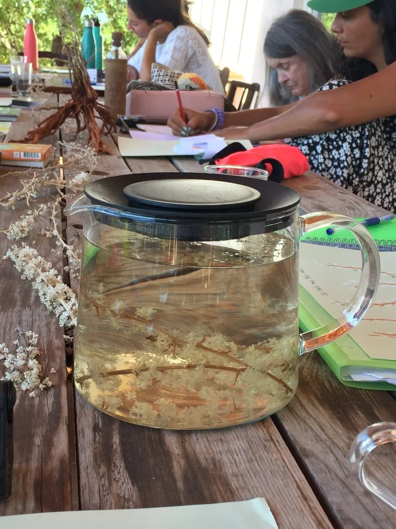herbal-class-tea.jpeg