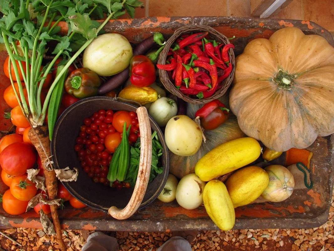 harvest.jpg