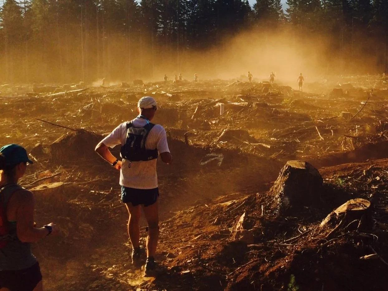Trail runners running through a cleared forest area with dust and fog in the background, trees visible at the top.