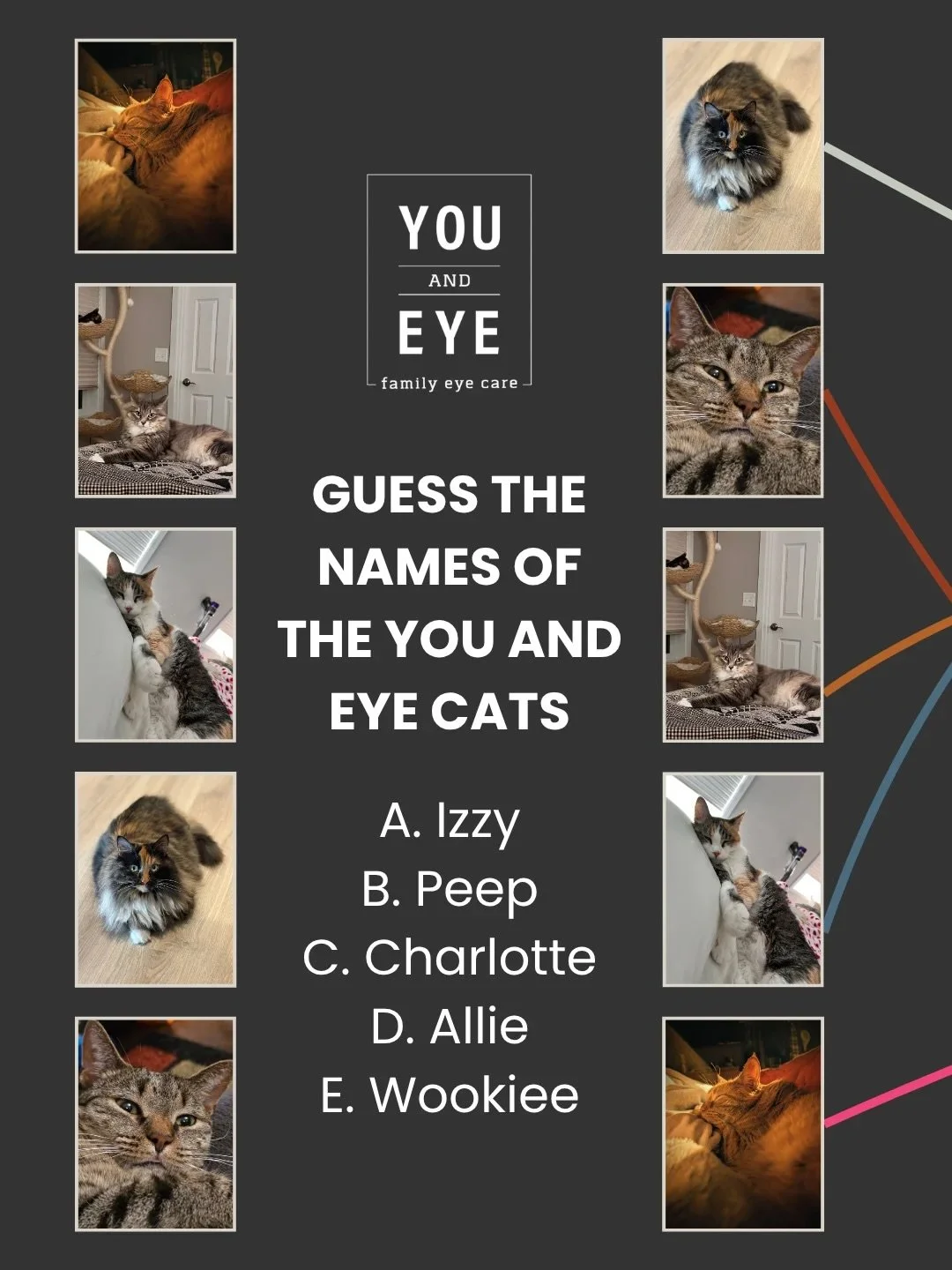 🐱 Happy International Cat Day!
Did you guess correctly? 👀🤍🐾