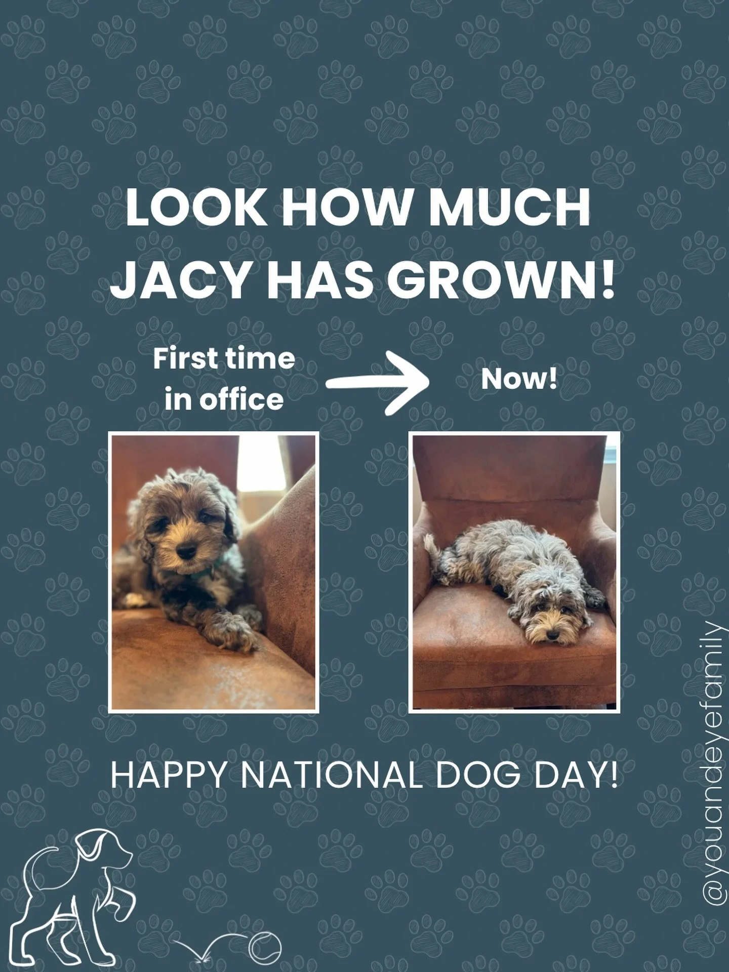 🐾 Happy National Dog Day! 🐾

Of course, we couldn&rsquo;t let today go by without celebrating our favorite You and Eye pup, Jacy! 🤍

She&rsquo;s still working on leaving some of those puppy antics behind 😆, but as she gets a little older (and a l