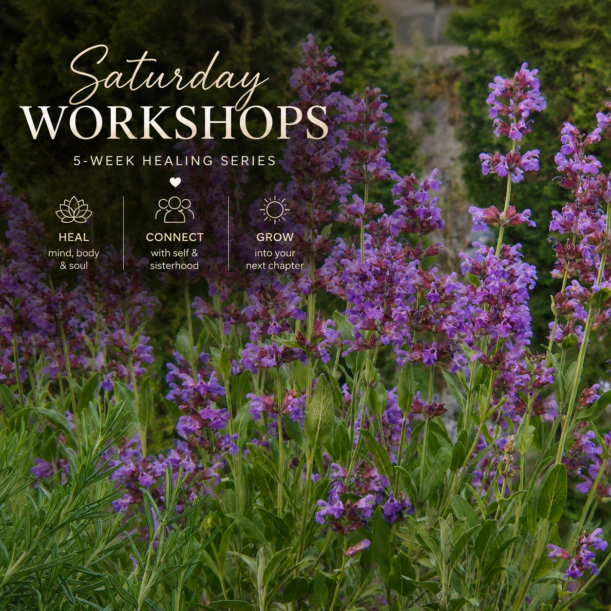 Returning to Your Inner Ruux - 5 Week Saturday Healing Series