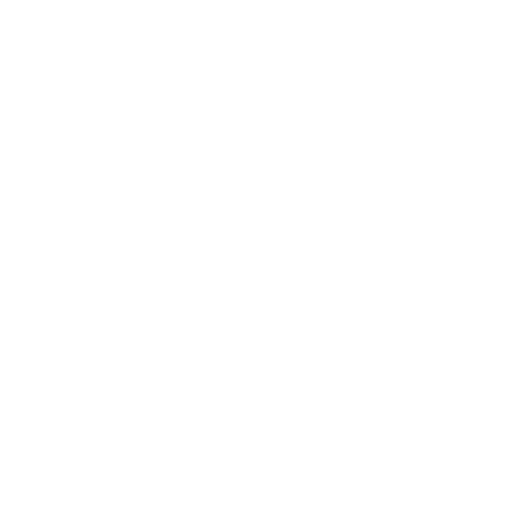 Aviator Detail (Copy) (Copy)