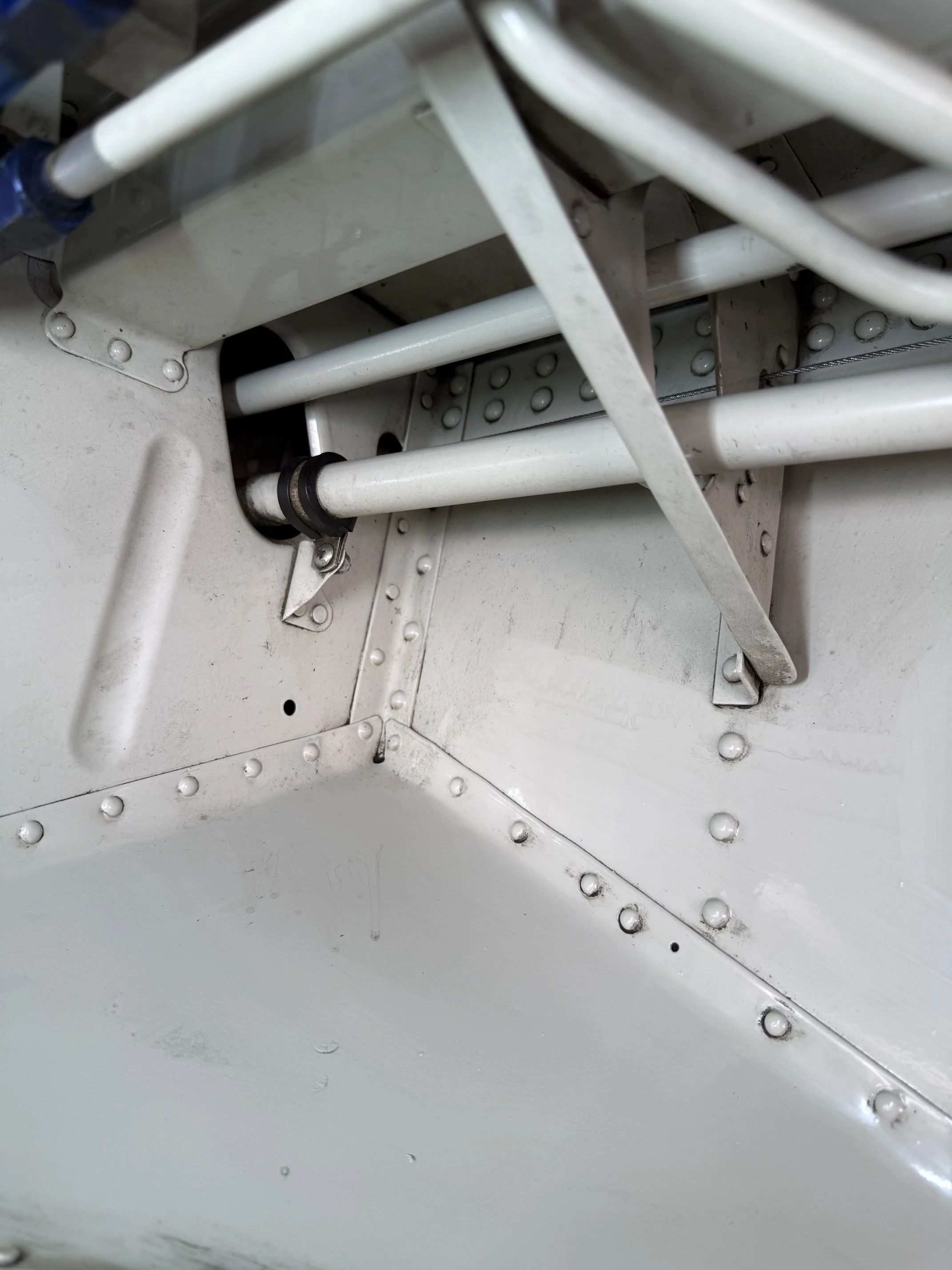 IMG_2398.jpeg