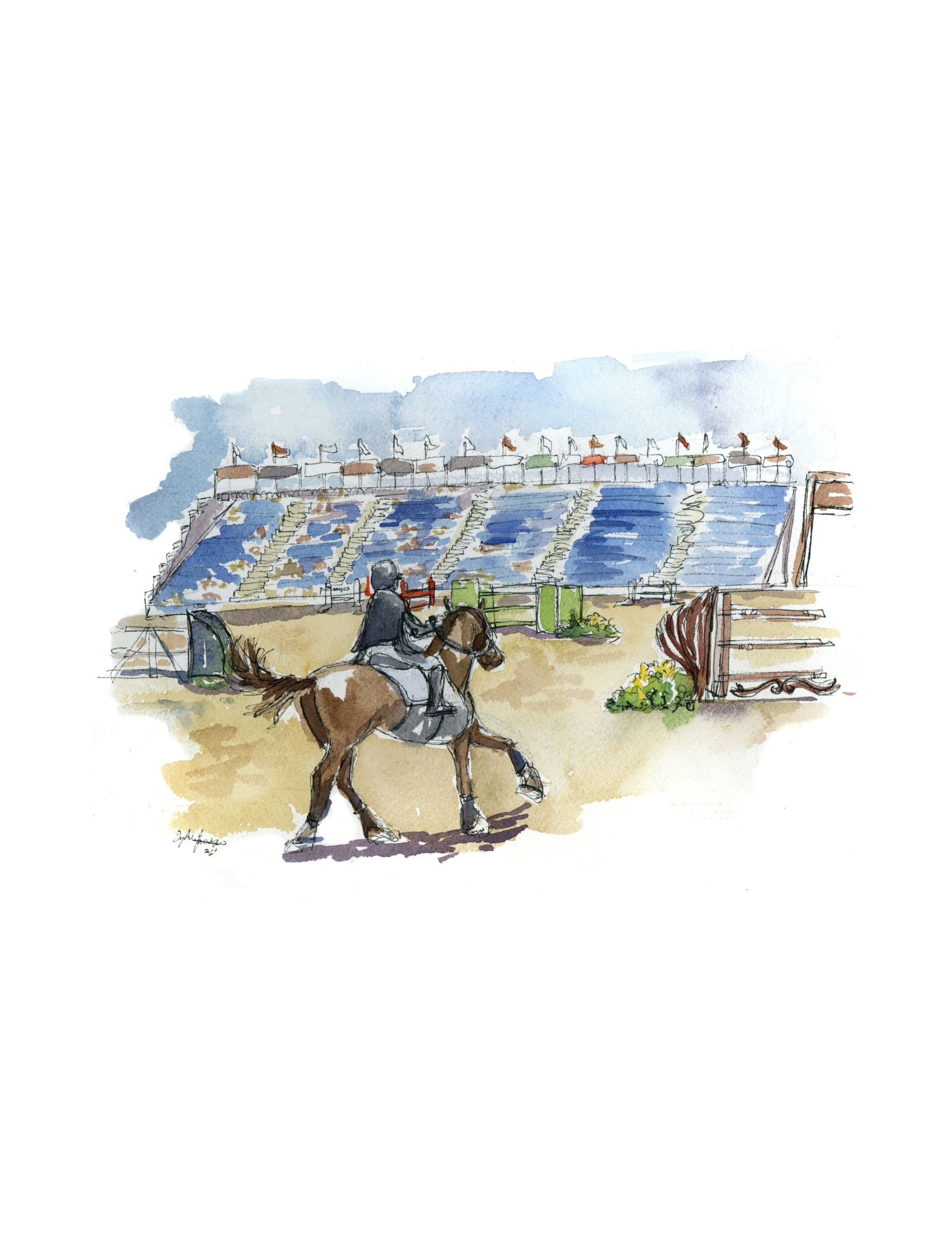 Don In the Ring-Digital Download