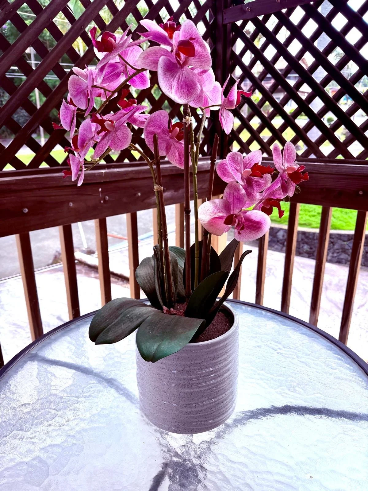Pink orchids at New Thought Center of Hawaiʻi in Kealakekua