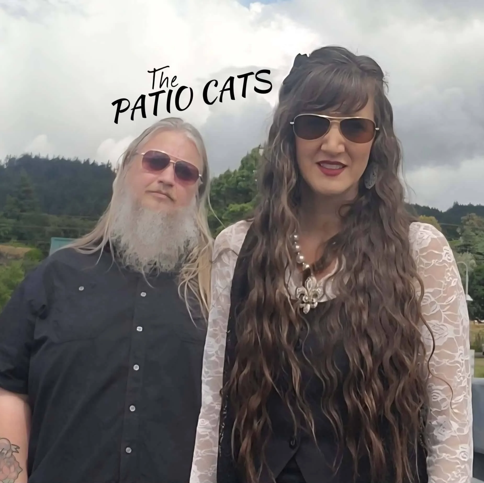 The Patio Cats: Live Music at Lane Cellars 