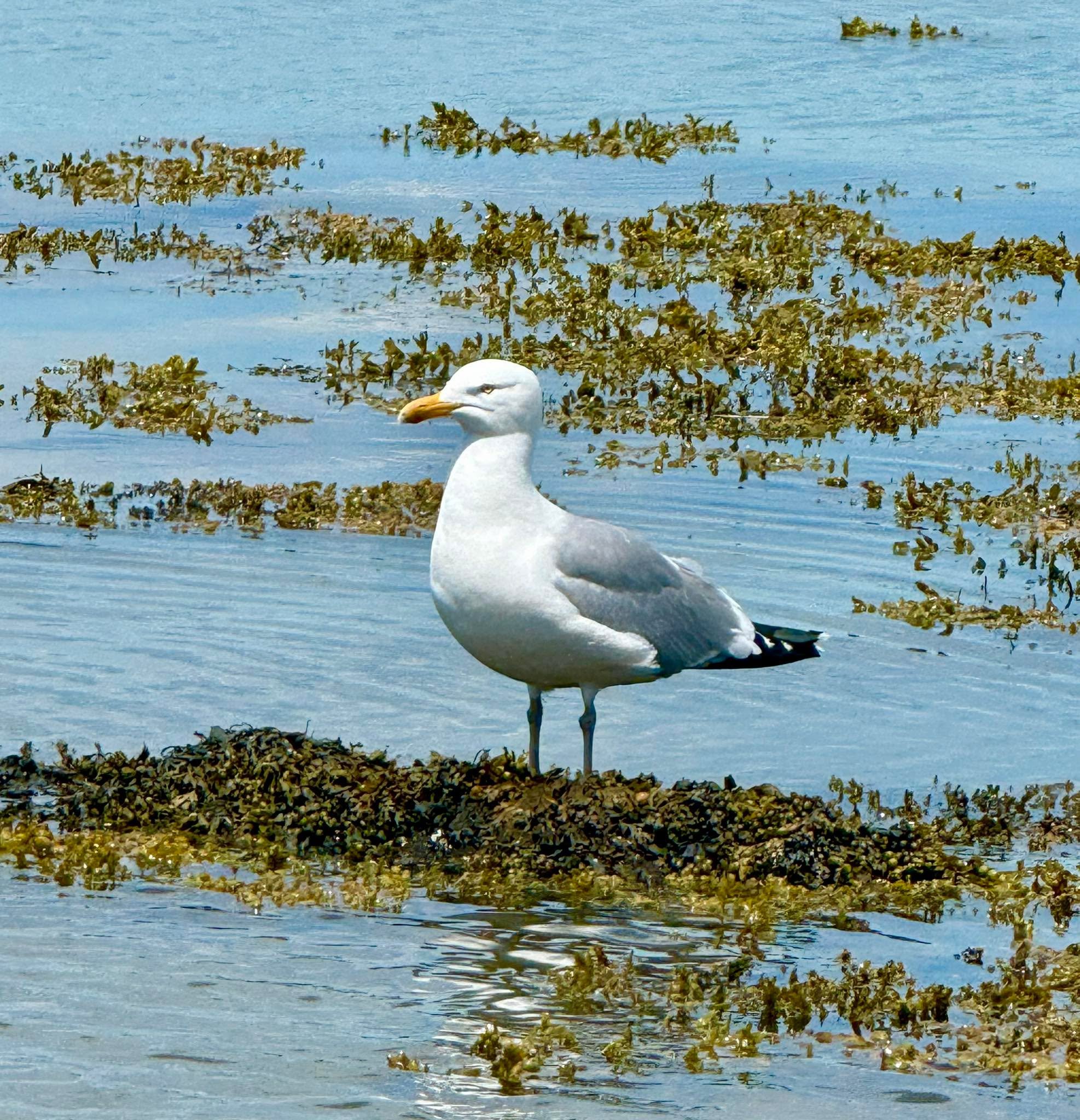 Overcome space, and all we have left is Here. Overcome time, and all we have left is Now.

Richard Bach, Jonathan Livingston Seagull