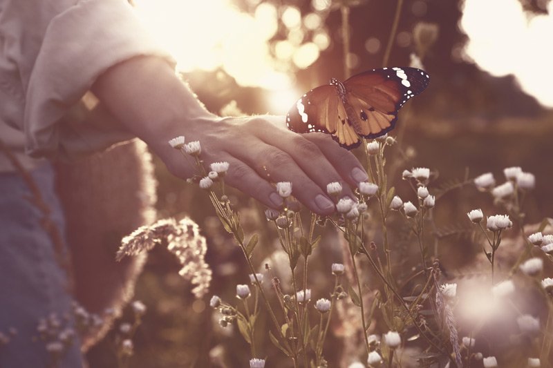 The Soul Healing Power of Psilocybin Assisted Therapy For Grief and Loss