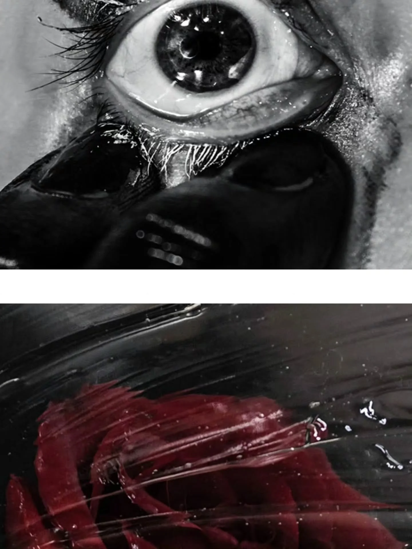 If youre a band or artist looking for unique album covers I have options for sale on my behance just dm me on Instagram! Or reach out and we can create one collaboratively!

#albumart #albumcoverart #albumcoverdesign #alternativemusic #altrock
