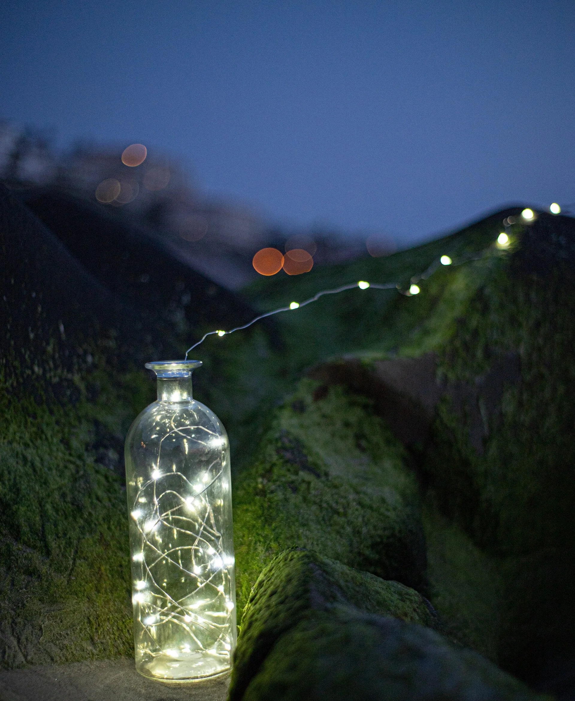 A glass bottle filled with string lights stands on the ground outside at night. A large tree trunk runs diagonally across the foreground, with a grassy background and a dark blue sky with a full moon.