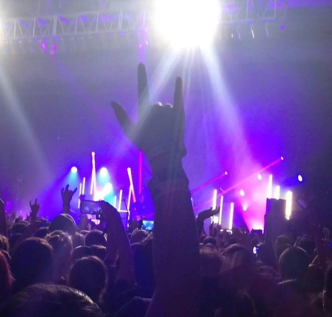 Crowd at a concert or music event with a hand raised in the foreground, illuminated by colorful stage lights.