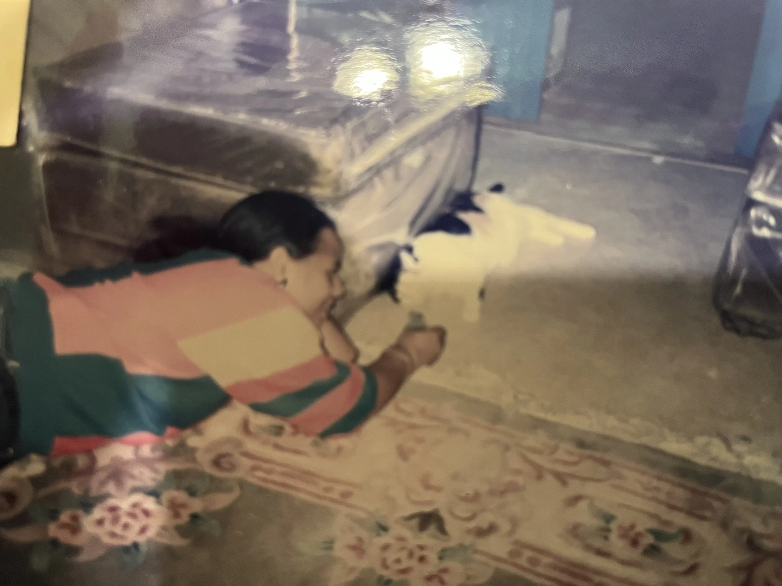 IMG_9117.jpeg