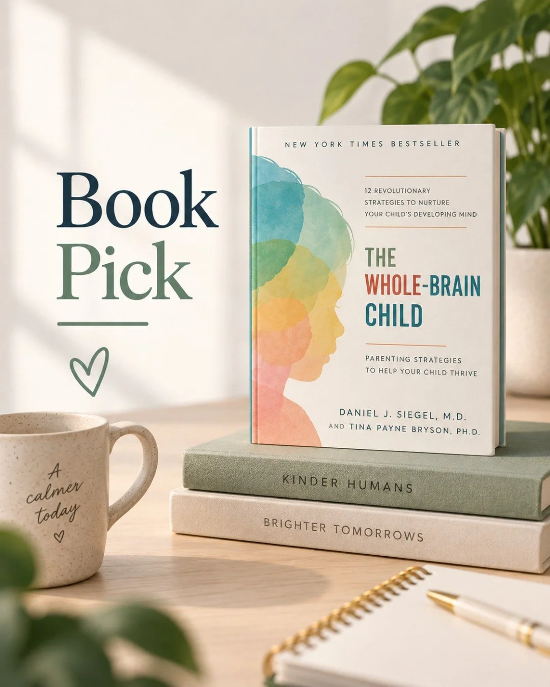 Book Pick: The Whole-Brain Child by Dr. Daniel J. Siegel and Dr. Tina Payne Bryson

Siegel and Bryson explain how a child's developing brain handles big emotions, then offer simple strategies parents can use in everyday moments.

One idea that tends 