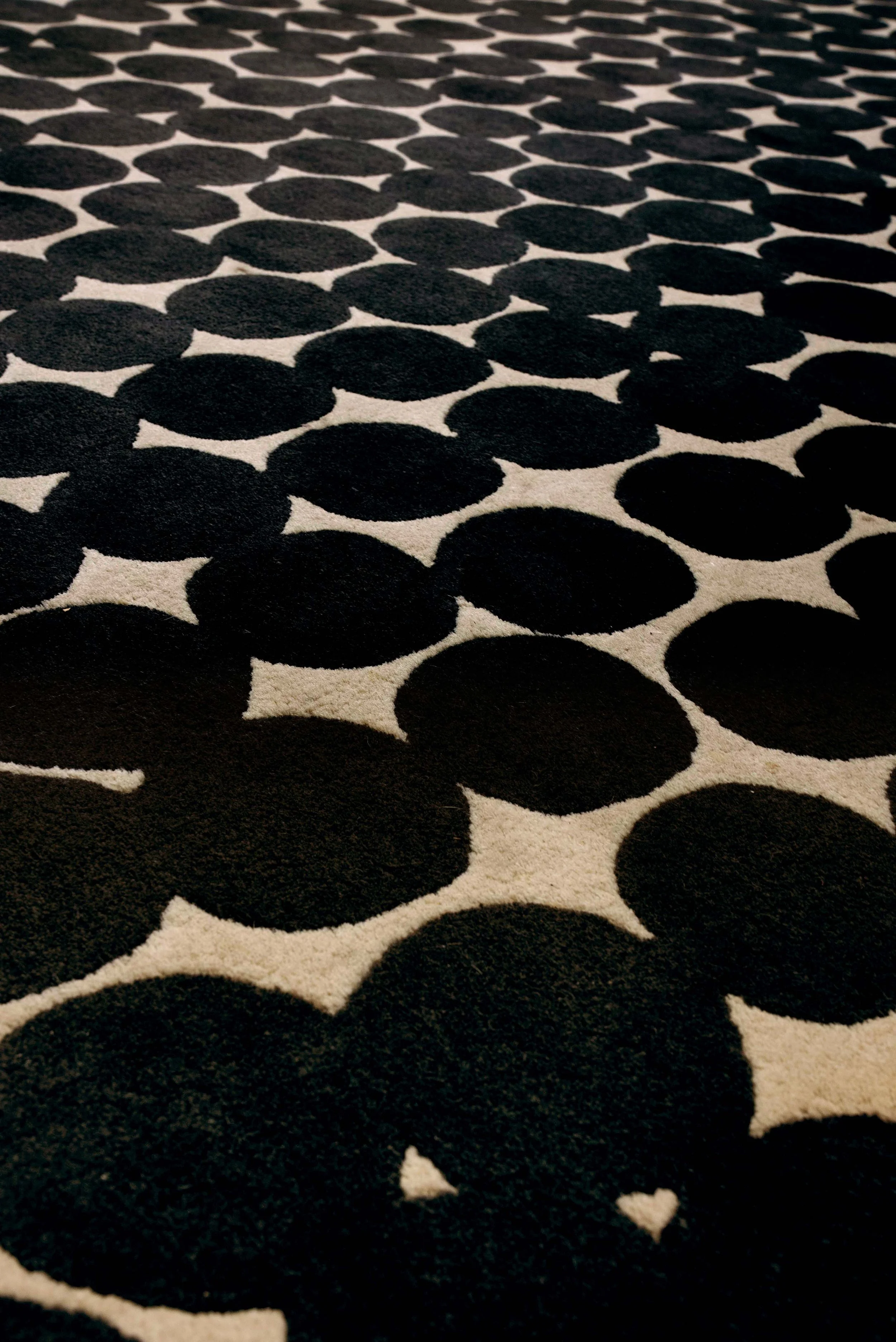 Polka Dots-01815_v2.jpg