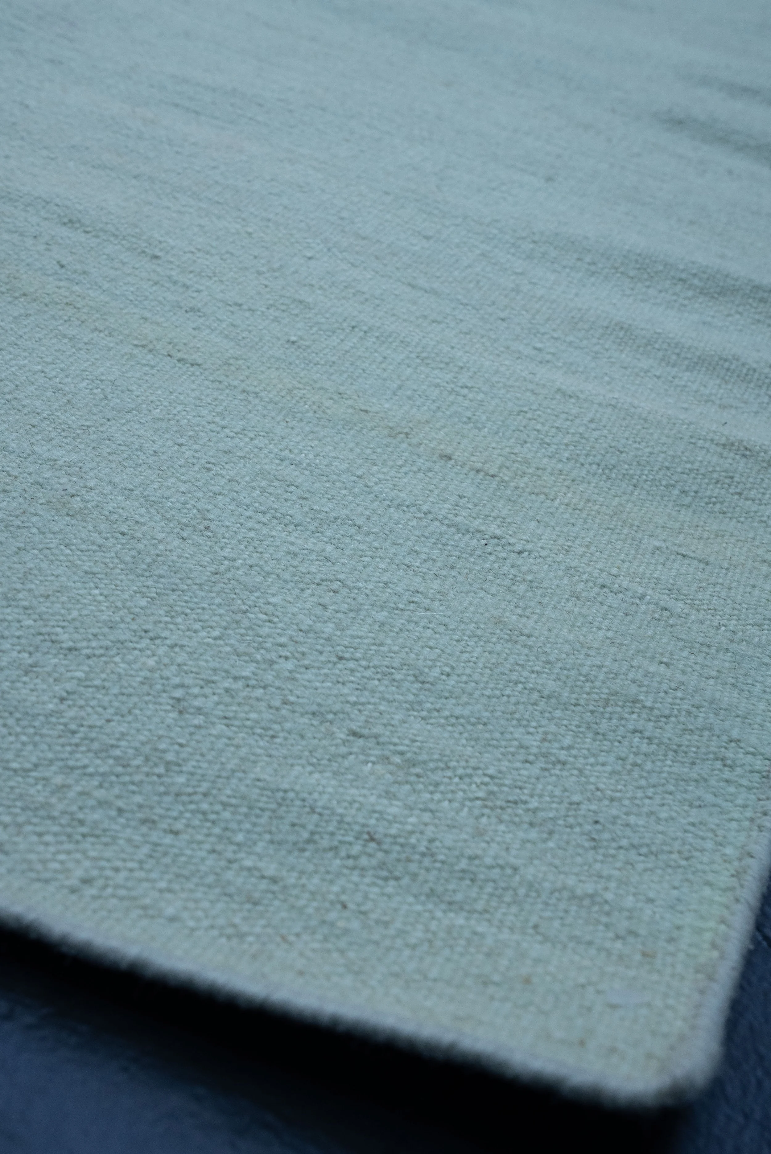 Light Green Flatweave-01861.jpg