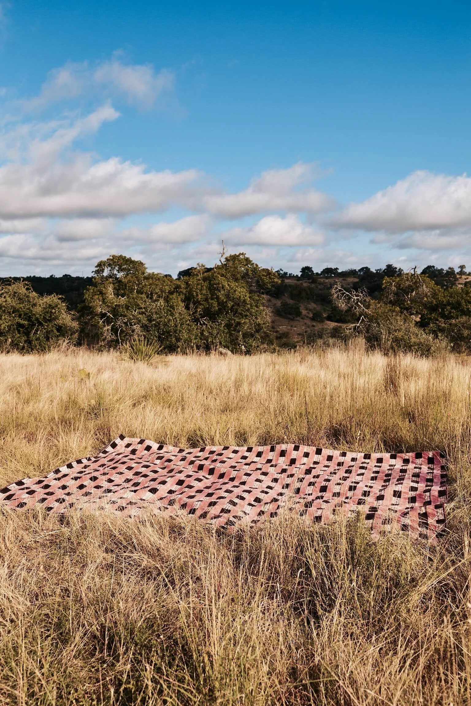 Sara_Story_Christopher_Farr_8_2026_Texas_Rose_in_Grass_543.jpg