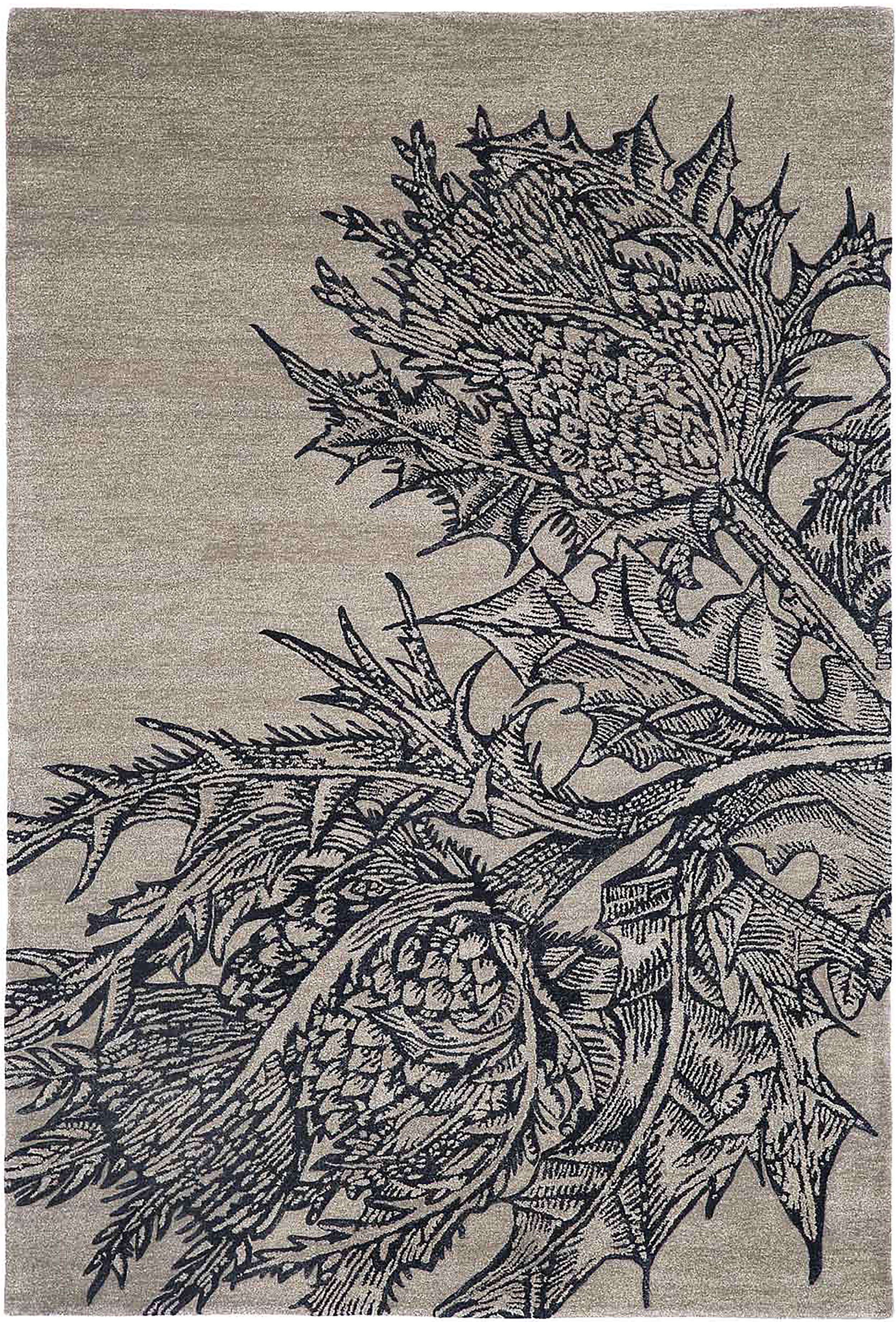 Thistle Grey 11'10" x 16'6" - Memo RC