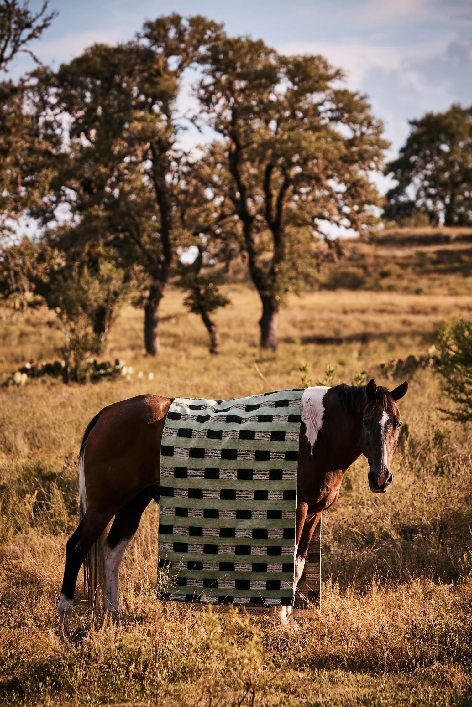 Sara_Story_Christopher_Farr_8_2026_Cacti_Runner_Horse_Ring_018.jpg