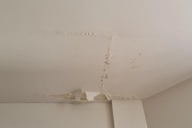 Roof-Issue_0005_Damaged-ceiling.jpg