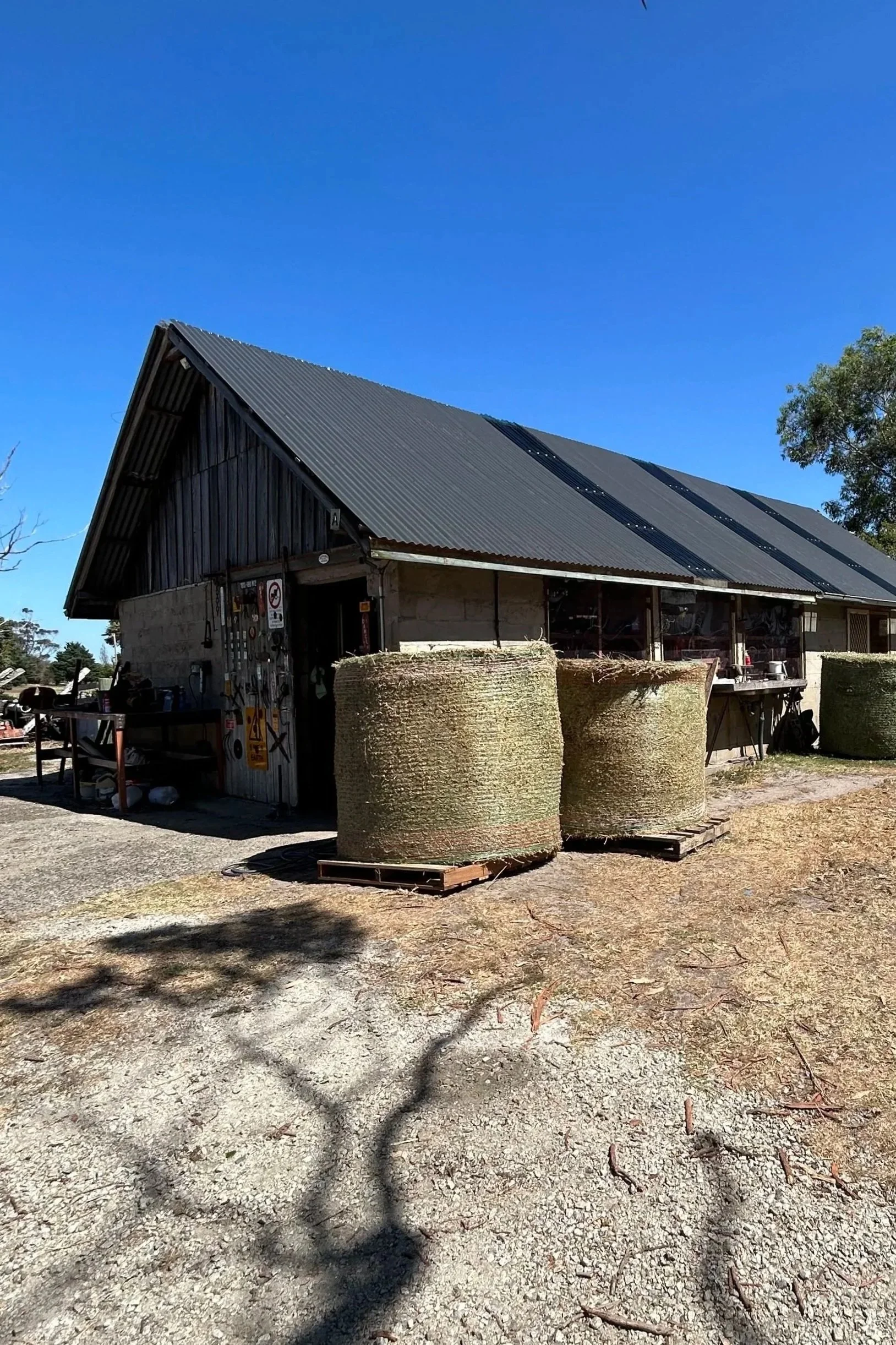 An old barn with a corrugated metal roof, surrounded by large rolls of hay on pallets and outdoor tools, under a clear blue sky.