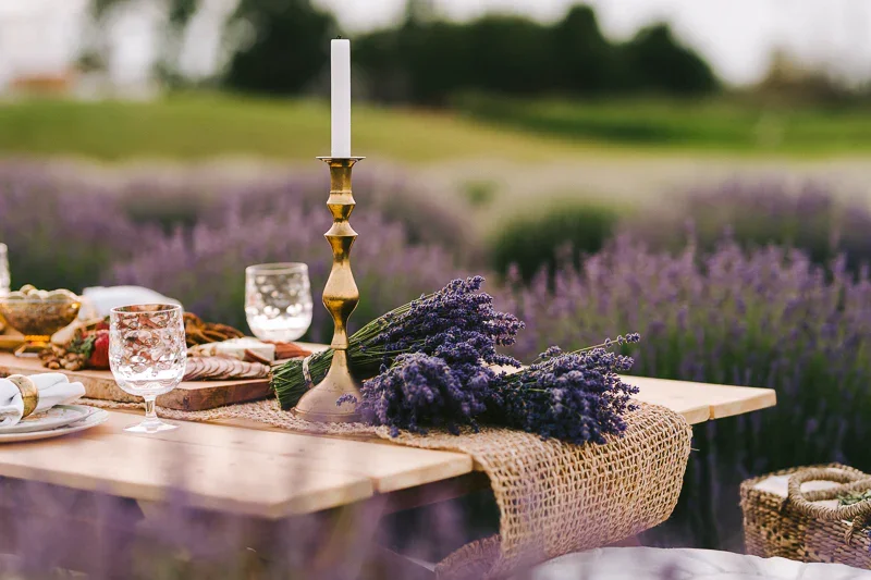 lavenderpicnic-27.webp