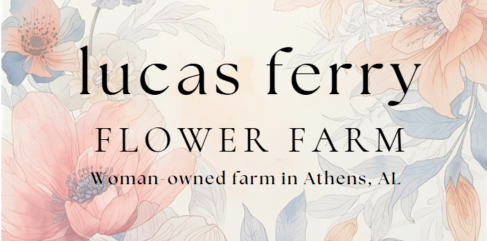 Lucas Ferry Flower Farm