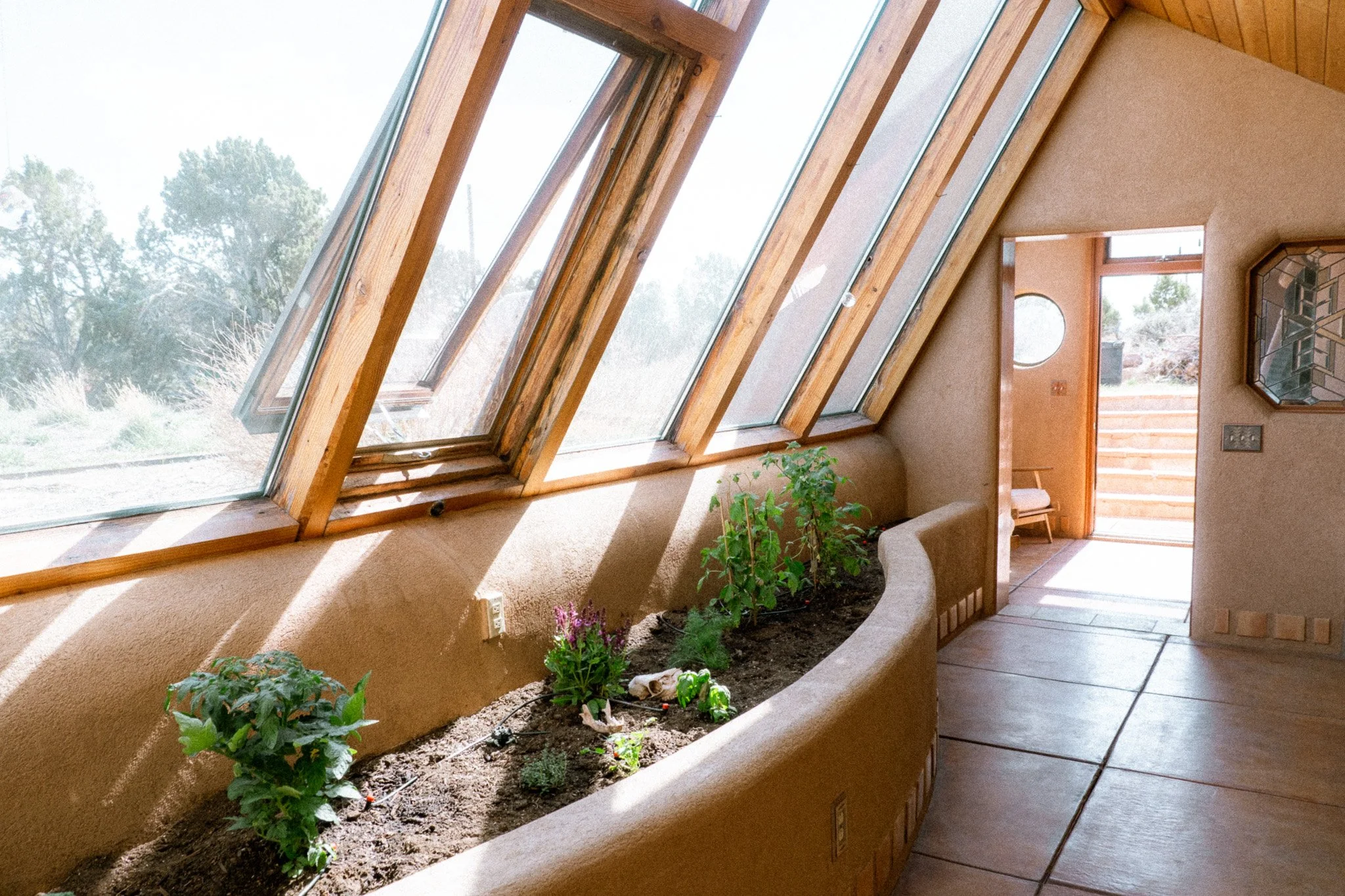 Interior view of a house with a large slanted glass window, wooden framing, and a small indoor garden with plants in a built-in planter. A door leading outside and tiled flooring are visible.