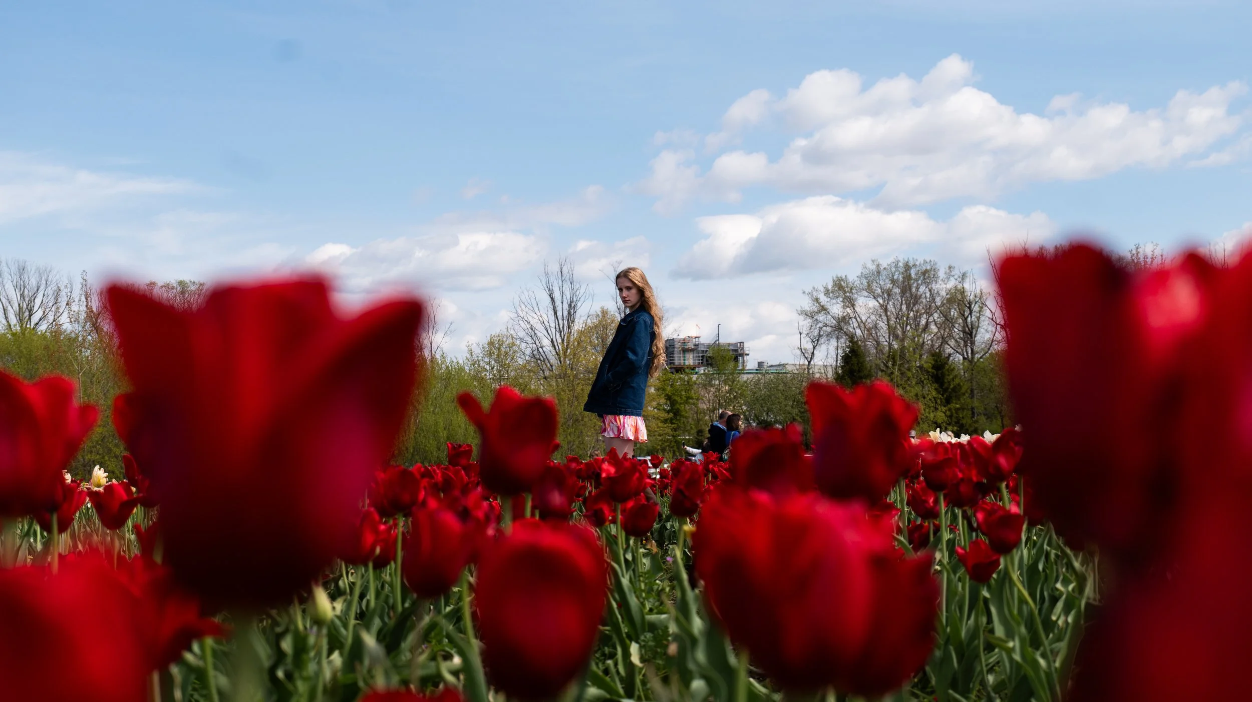 Young woman with long hair standing in a field of red tulips, with trees and a partly cloudy sky in the background.