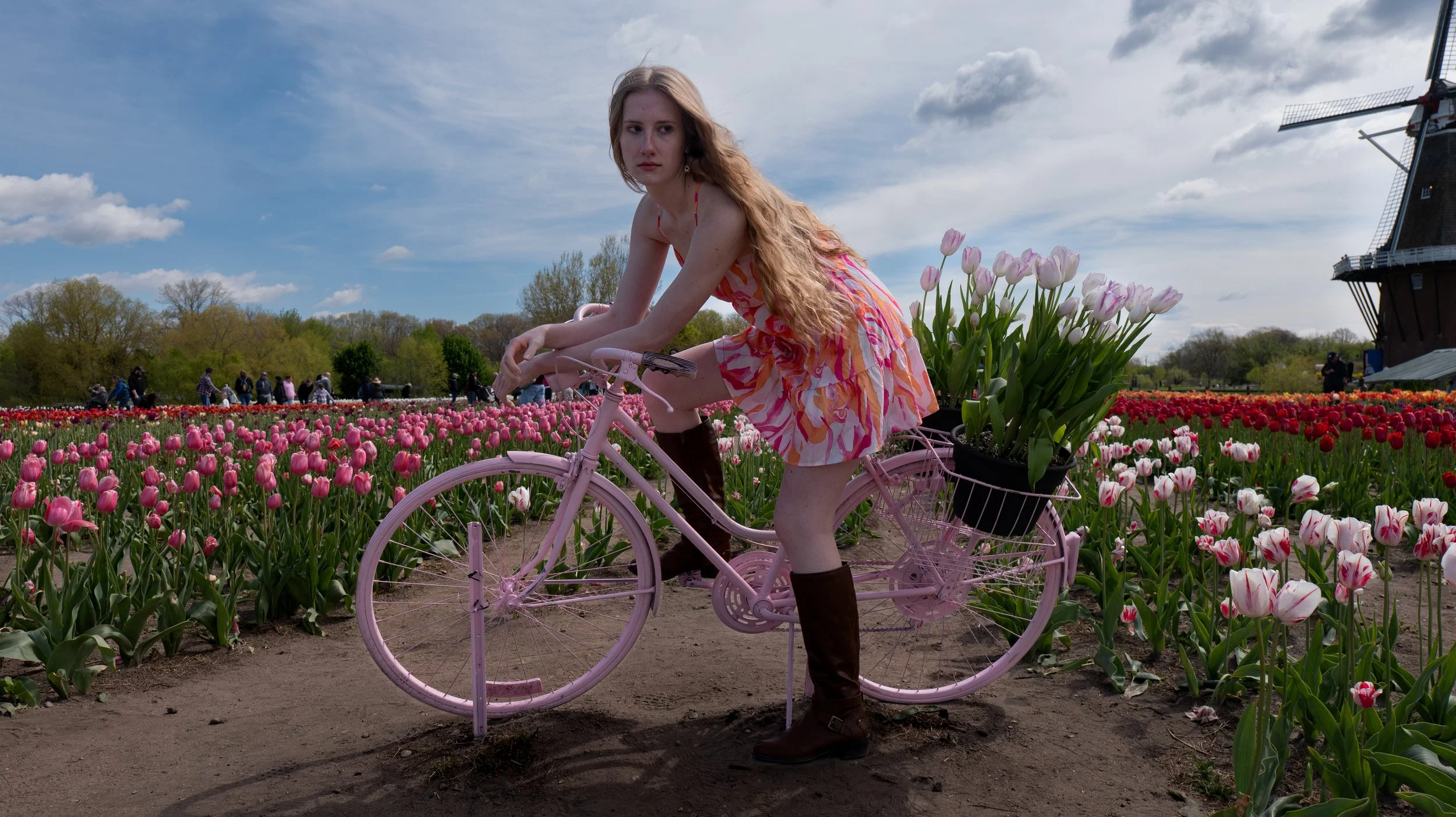 A woman with long curly hair riding a pink bicycle with a black basket filled with tulips through a tulip field. She is wearing a colorful dress and brown boots, surrounded by blooming tulips under a partly cloudy sky.