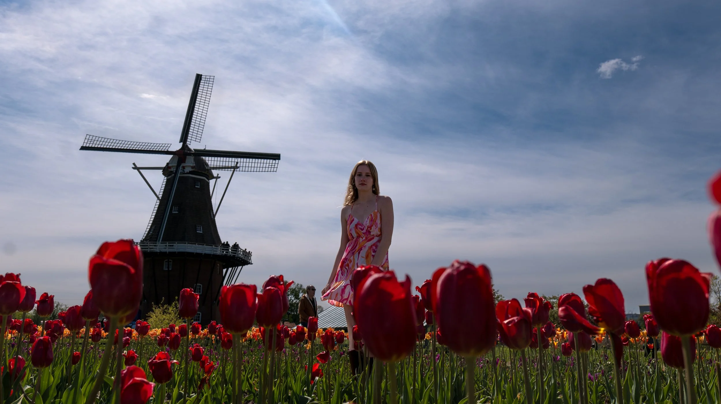 A young woman in a colorful dress standing in a field of red tulips with a windmill in the background under a cloudy sky.