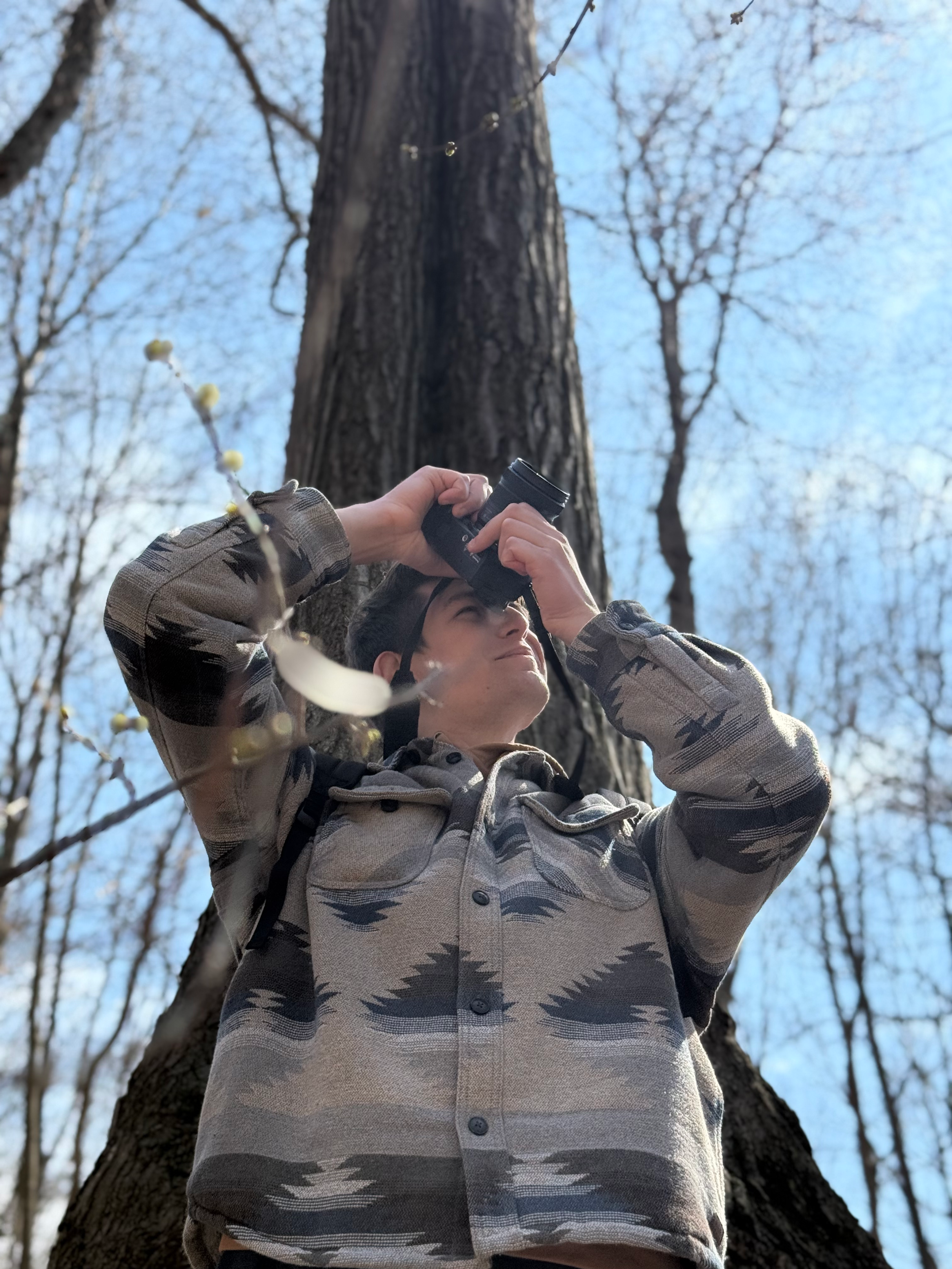 Person in camouflage jacket holding a camera, looking up in a forest with tall trees and a bright blue sky.