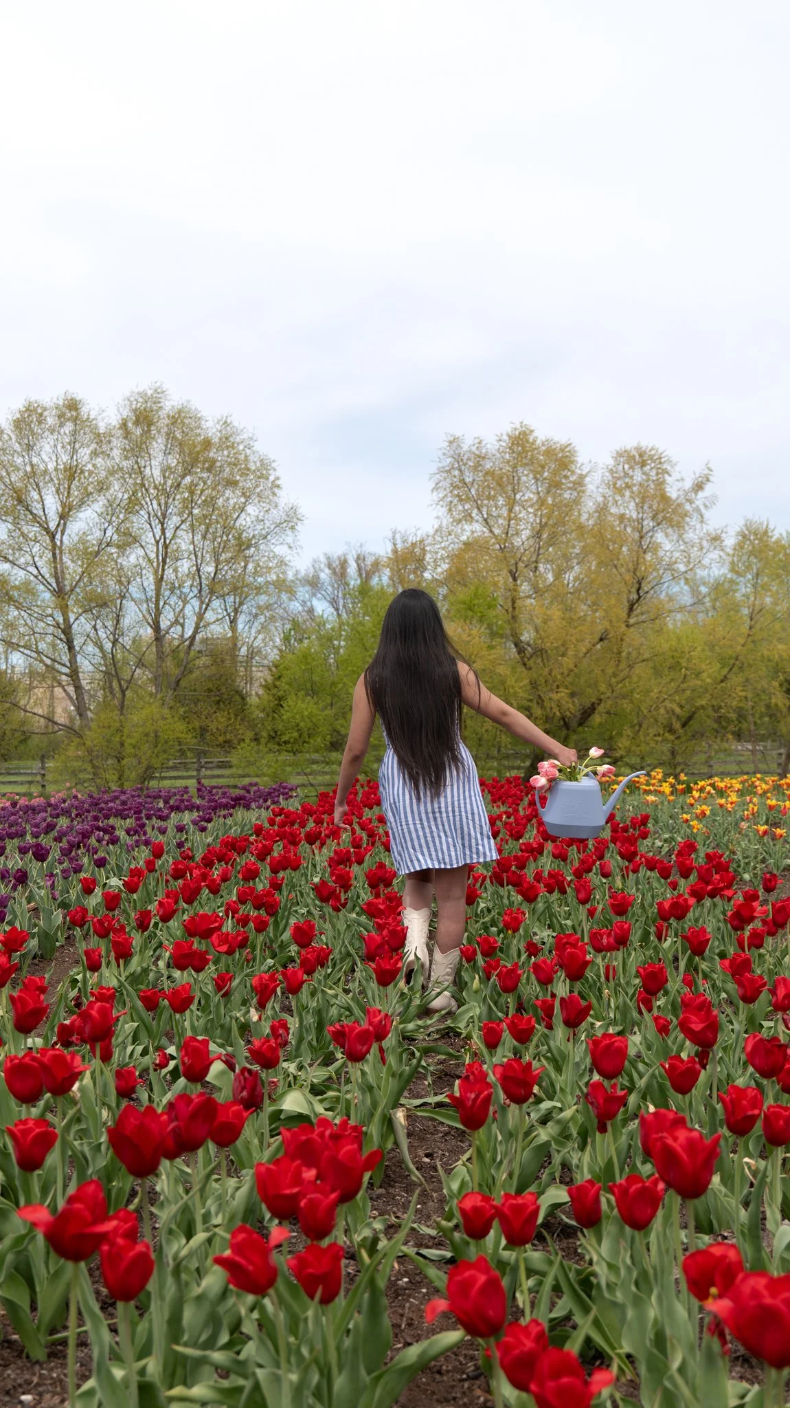 A girl with long dark hair, wearing a striped dress and boots, walking through a field of colorful tulips with a watering can in her hand, surrounded by trees under a cloudy sky.