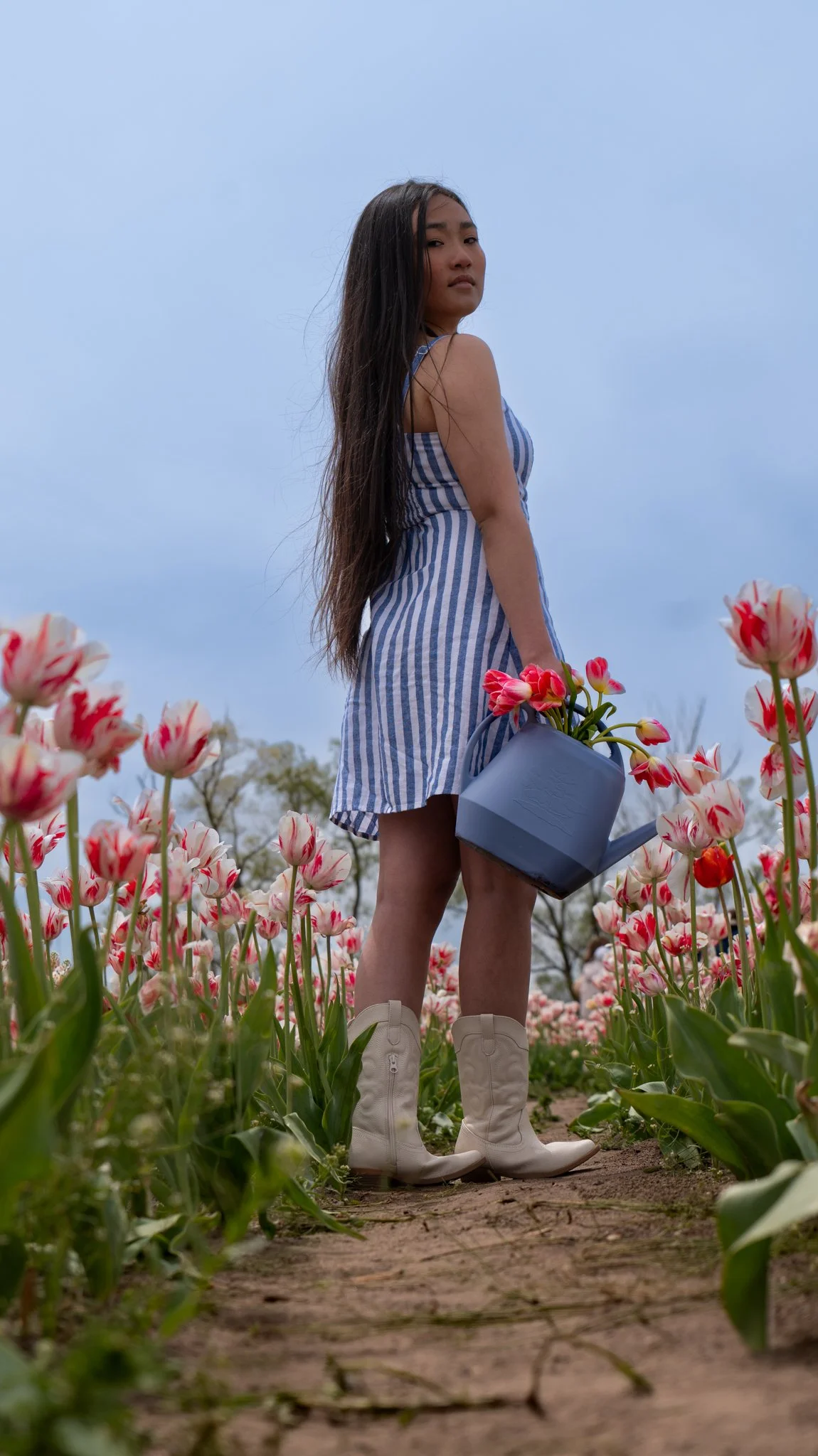 A young woman in a blue and white striped dress holding a blue watering can with pink and white tulips in a flower field, standing on a dirt path, with a cloudy sky in the background.