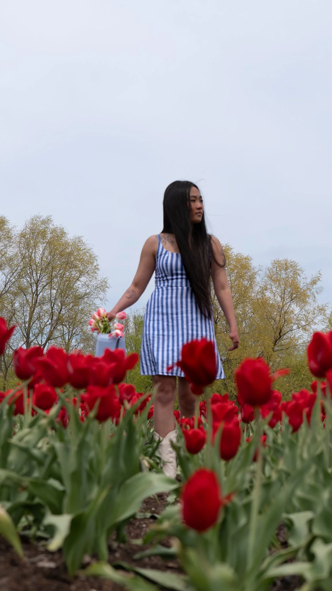 Young woman in a blue and white striped dress holding a white bucket with pink and white flowers in a tulip field with red tulips and trees in the background under an overcast sky.