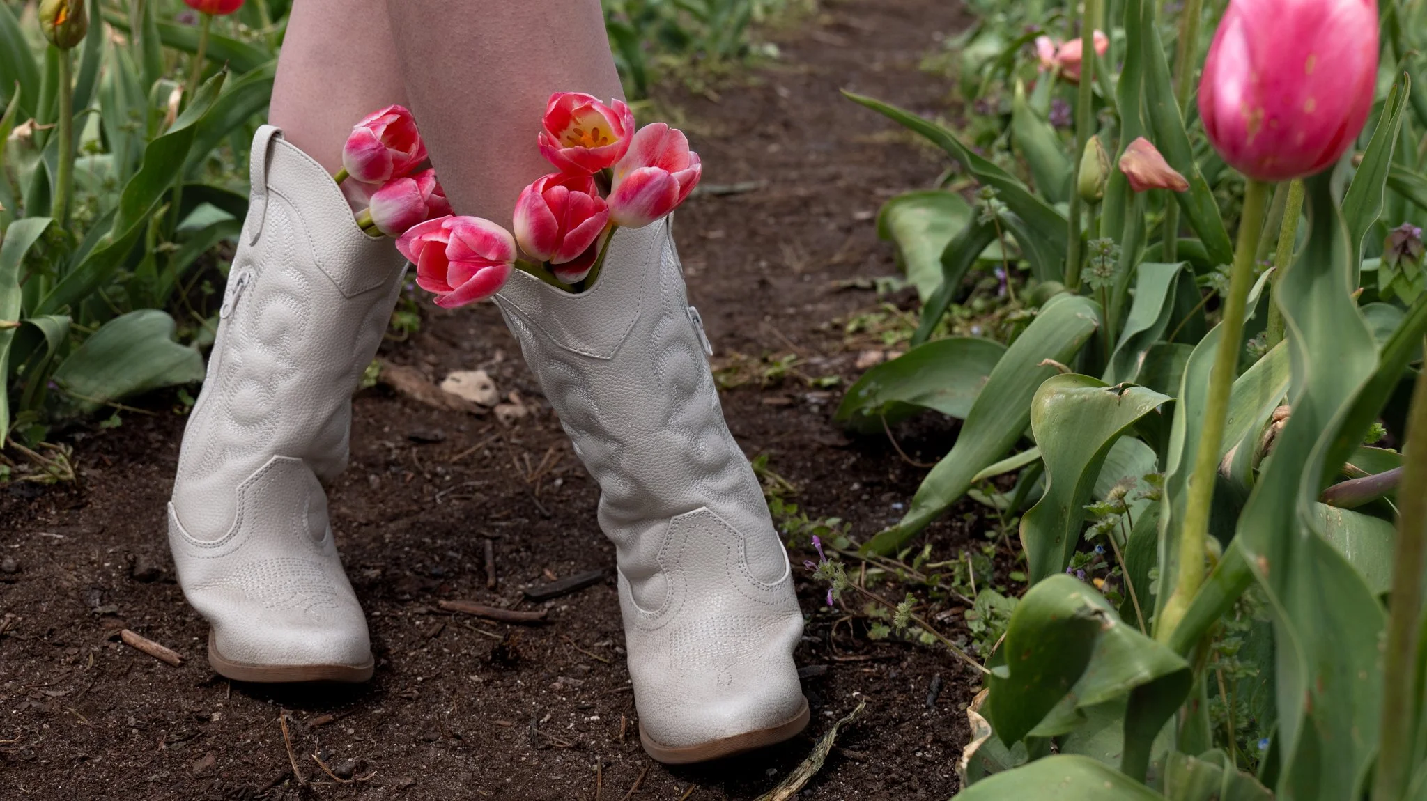 A pair of white boots on a person's legs standing in a garden with pink tulips, with one tulip placed inside the boot. The person is surrounded by green plants and soil.