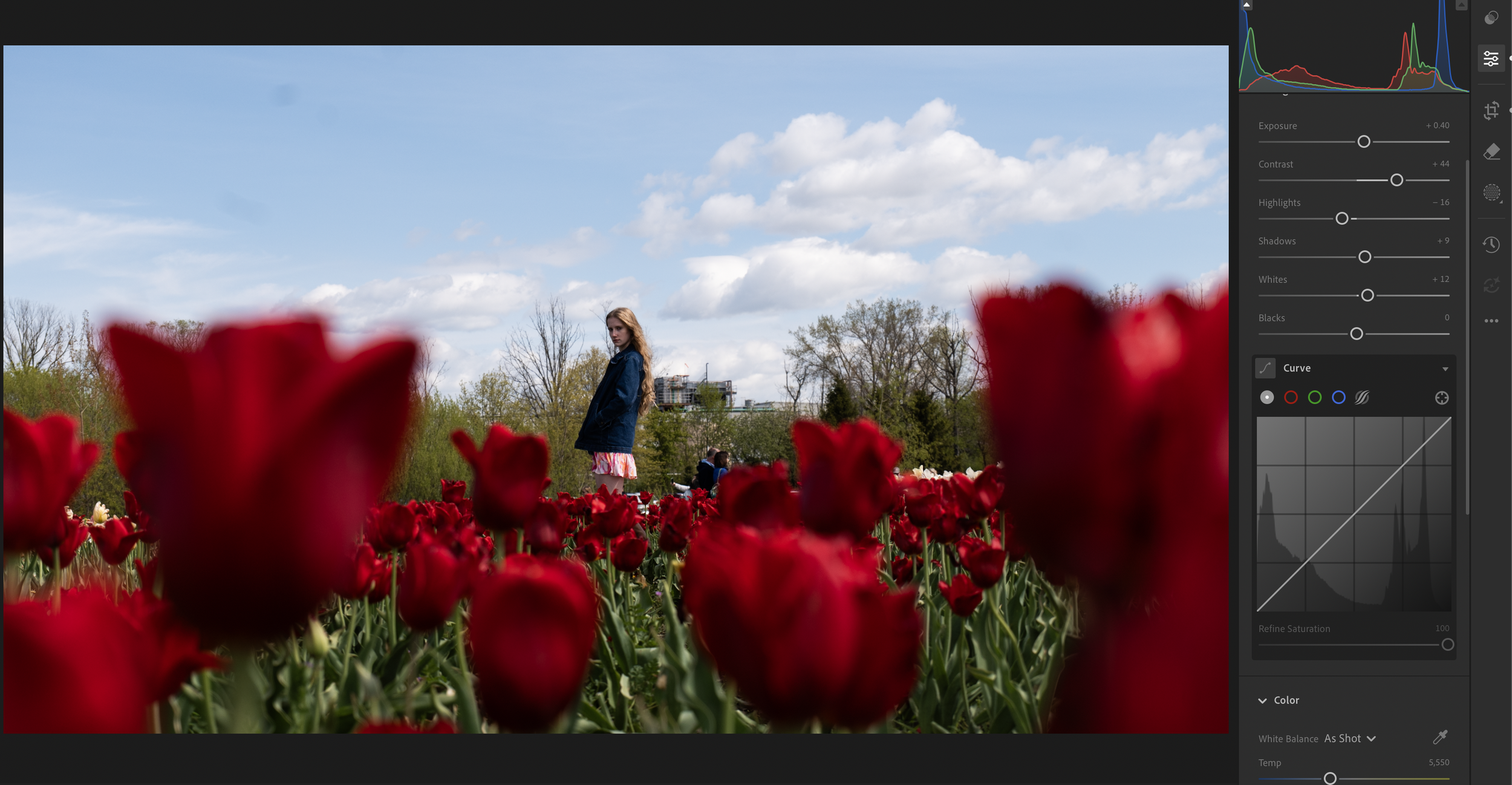 A woman with long hair wearing a denim jacket and floral dress standing in a field of red tulips under a partly cloudy sky, with trees and a building in the background.