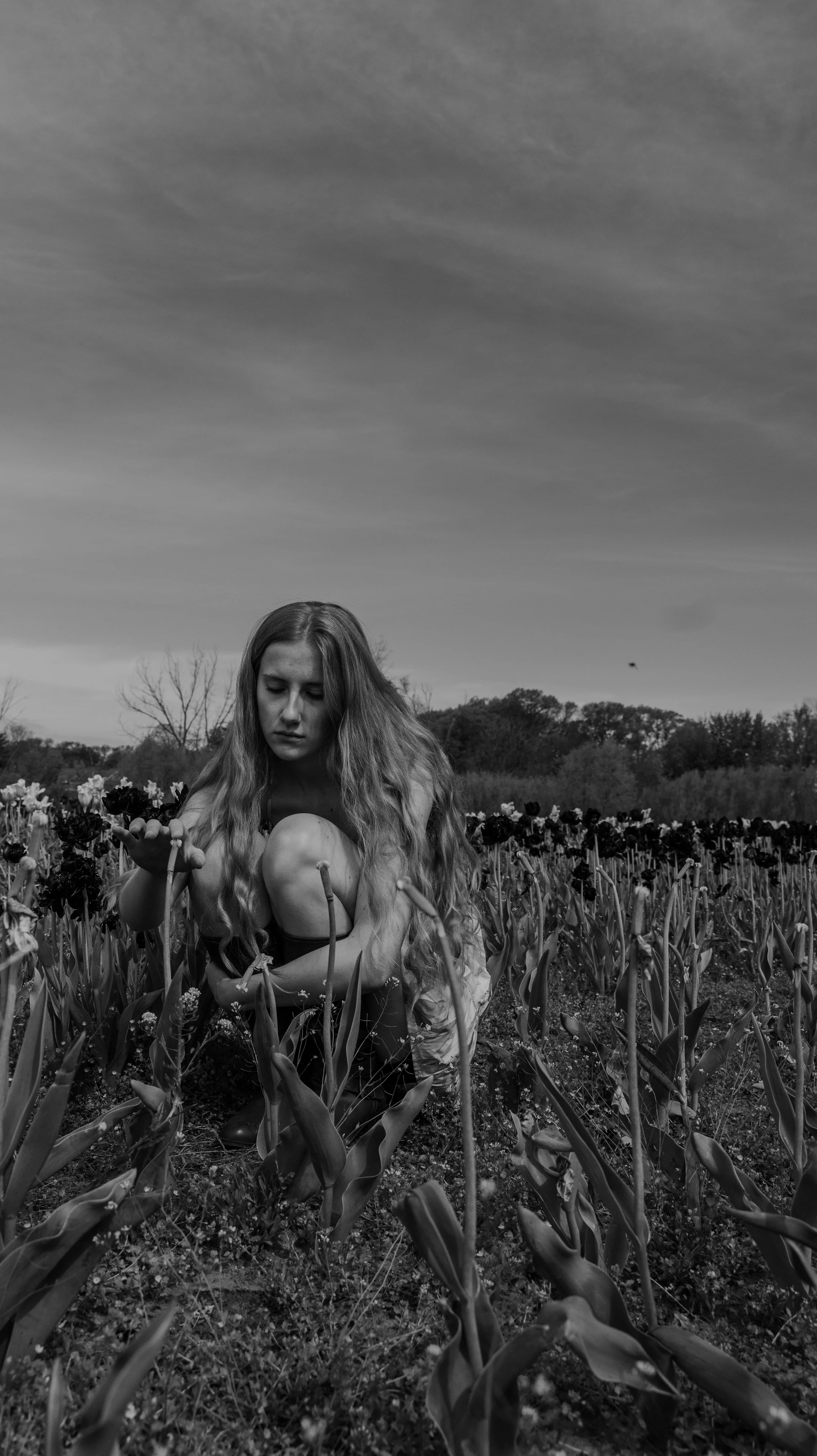 A young woman with long wavy hair crouches in a field of tulips, looking down at the flowers. The scene is in black and white, with a cloudy sky overhead.