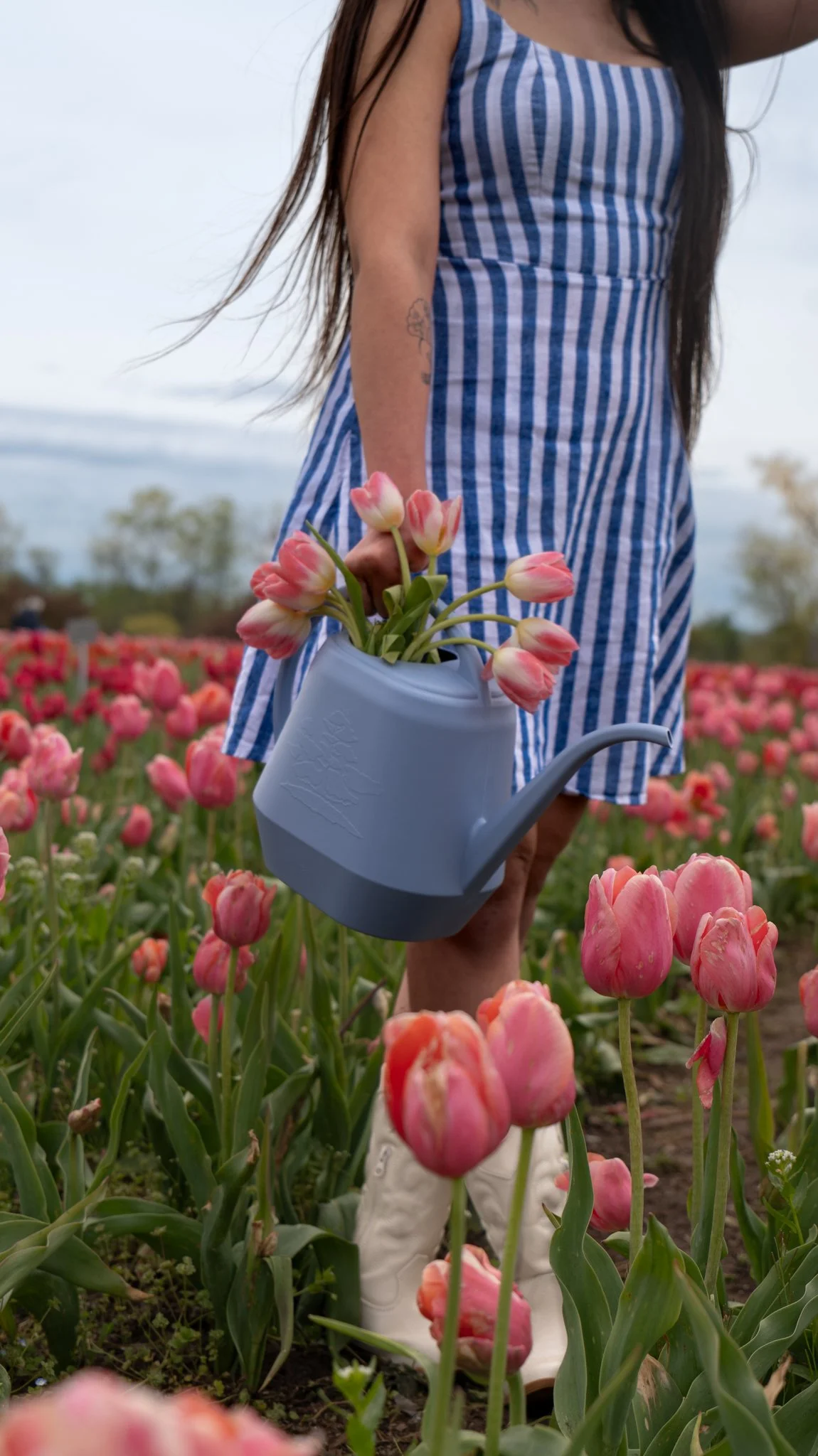A person wearing a blue and white striped dress holds a grey watering can filled with pink tulips in a field of blooming tulips.