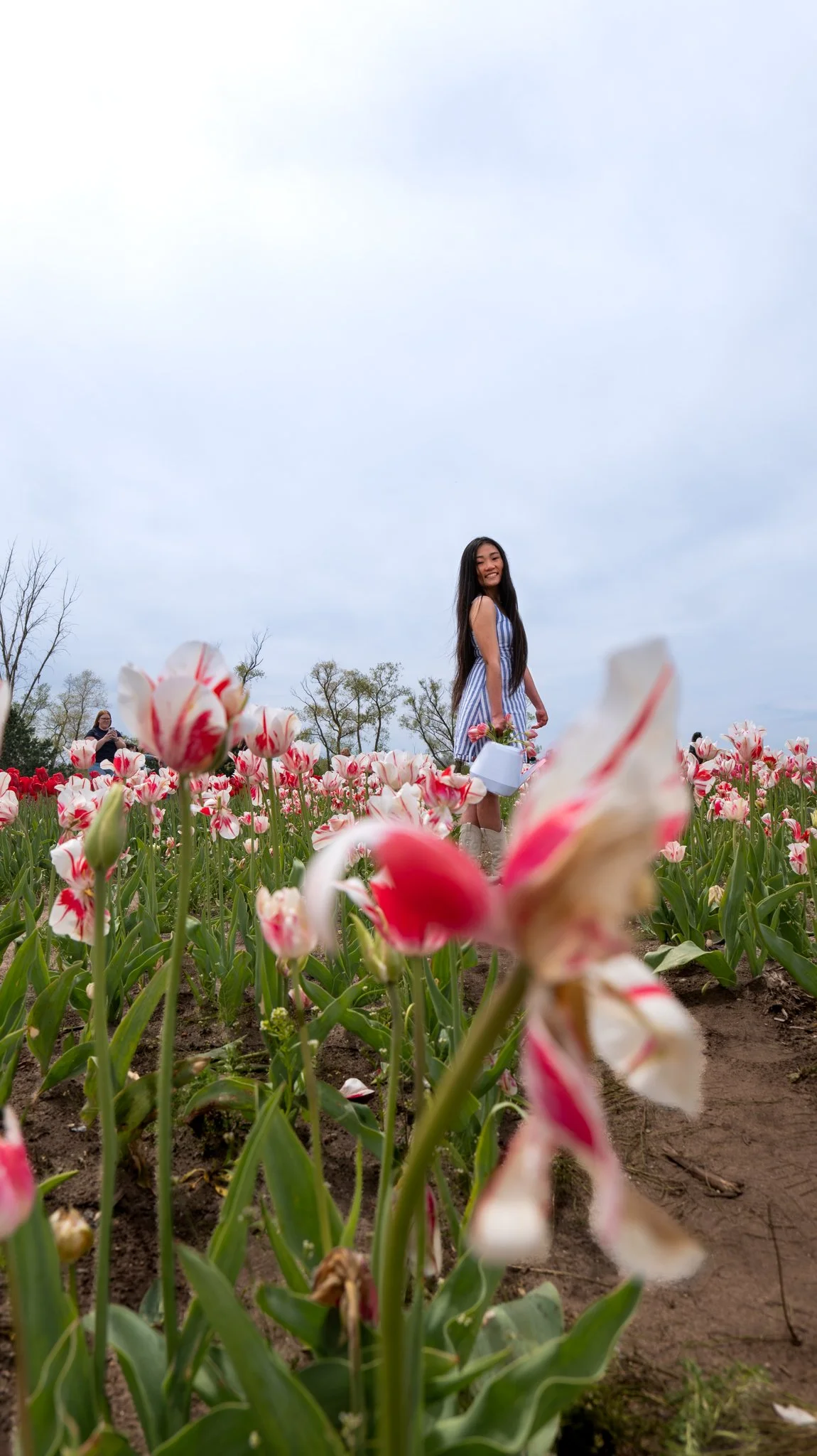 A woman in a blue striped dress standing in a field of pink and white tulips, holding a white pot with tulips, with a cloudy sky and some trees in the background.